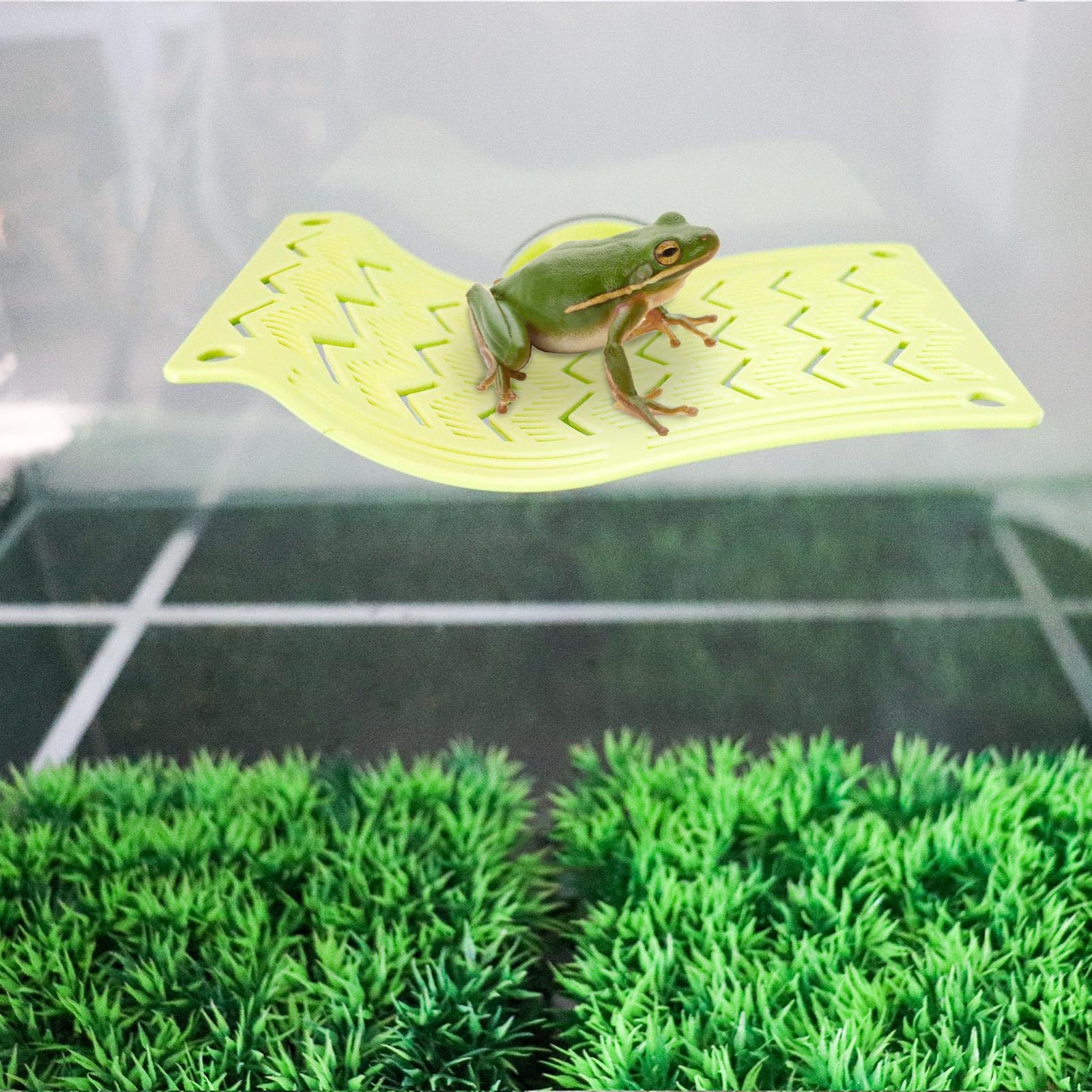 BingegePet Plastic Frog Hammock with Suction Cup, Frog Habitat