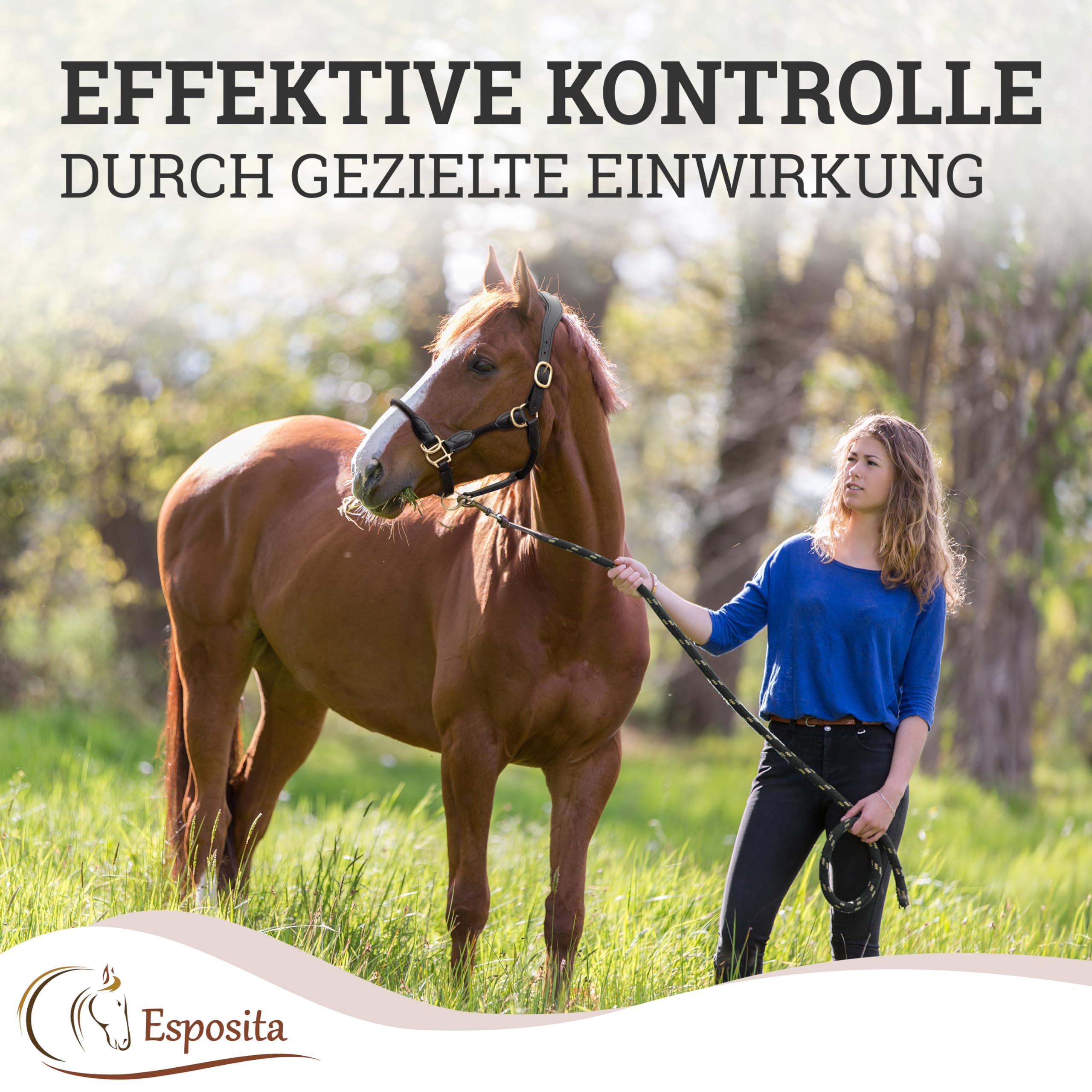 Esposita Seilhalfter Ranch Halfter für Pferde aus Leder und Seil mit rostfreien Messingbeschlägen auch ideales Halfter zum Reiten, als gebisslose Trense oder Wanderreithalfter Schwarz Gr. Full/WB