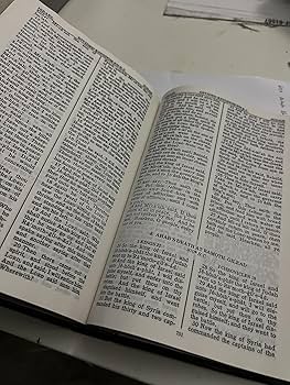 洋書 CHRONOLOGICAL BIBLE 洋書 CHRONOLOGICAL BIBLE 洋書 CHRONOLOGICAL BIBLE 洋書