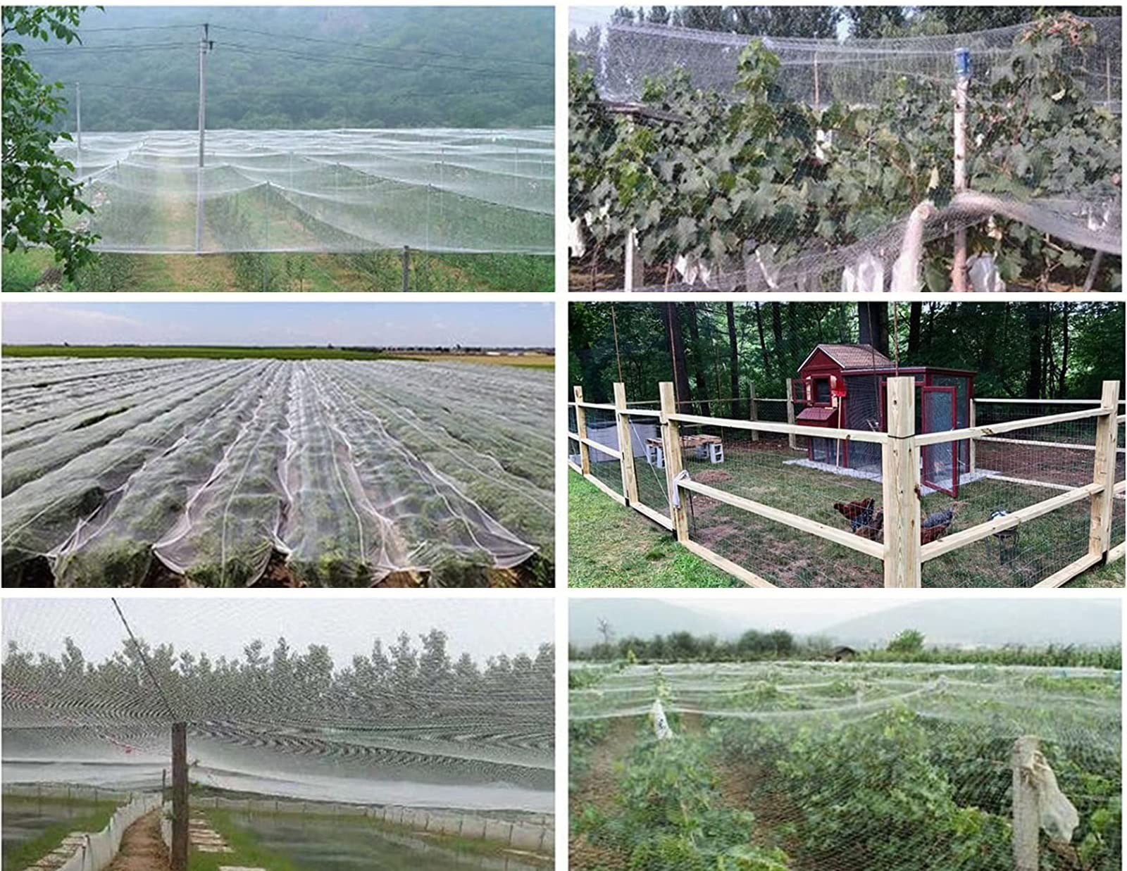 Red de jardín para protección de plantas, cubierta de malla de nailon para árboles frutales, ideal para disuadir pájaros, ardillas y ardillas