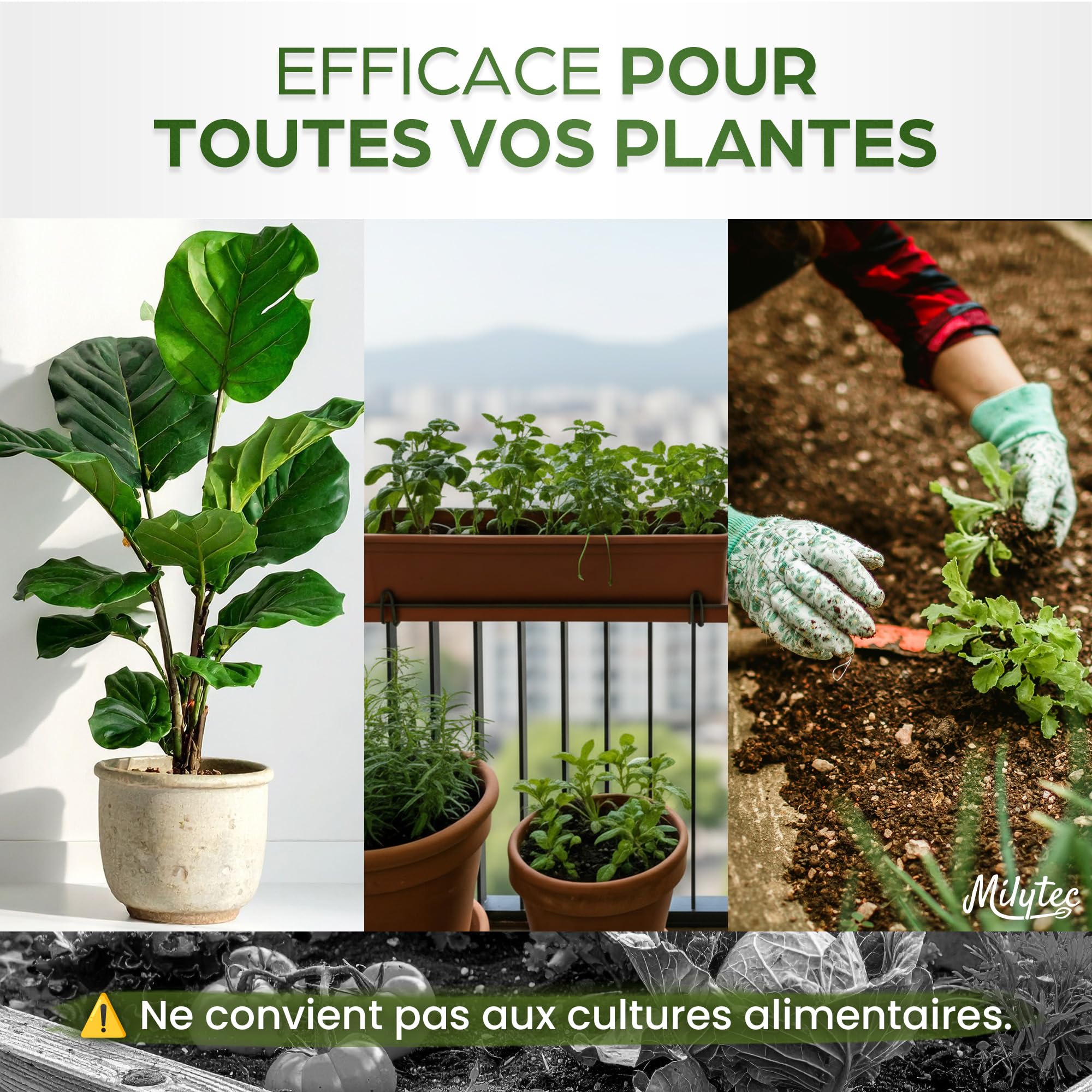 Granulés Gel Rétenteur d’Eau pour Plantes | Arrosage Automatique Pendant Les Vacances | Intérieur et extérieur | E-Book Offert | Sachet de 500 g | Convient pour 600 litres de terreau