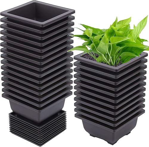 15 macetas de entrenamiento para bonsái de 4.7 pulgadas, macetas cuadradas de plástico para cultivo, macetas para suculentas con 15 bandejas de