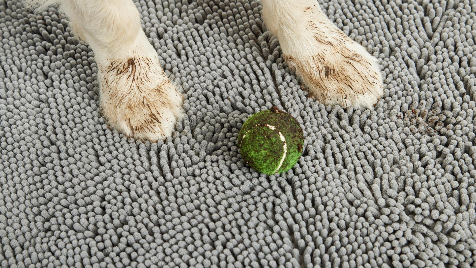 Amazon.com : GORILLA GRIP SoakSTOPPER Dog Door Mat, 60x36 Machine