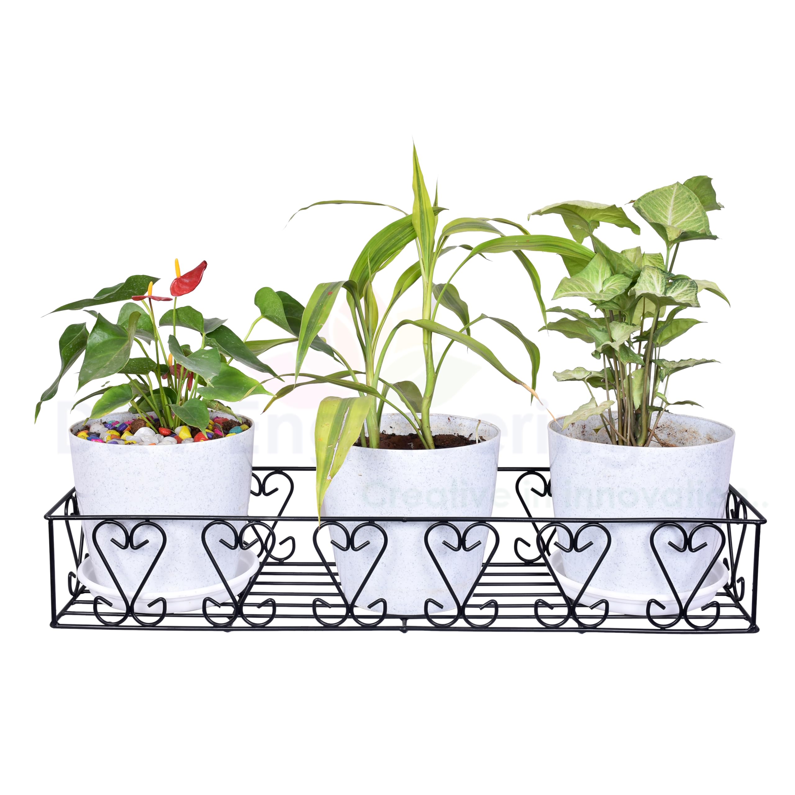 D&V ENGINEERING - Creative in innovation Metal wall fixing wall mounting wall hanging plant planter pot stand bracket for Balcony Black - Large-image-5