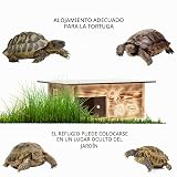 Ver la foto 4