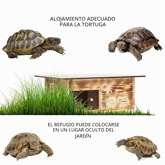 Foto 4 de 7 de Woid Herz Caseta para tortugas de madera maciza (SH4) de 20 mm, resistente a la intemperie