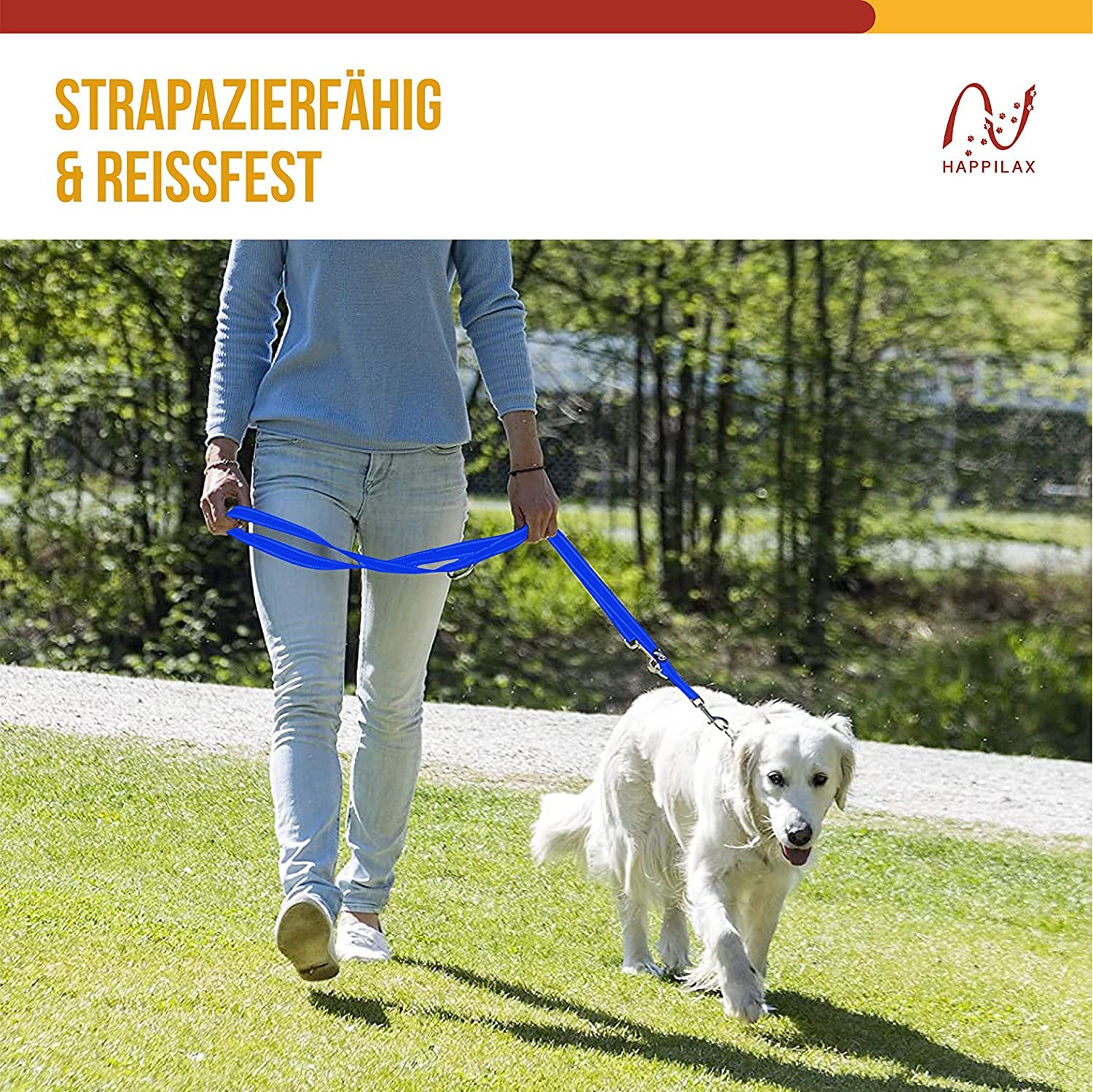 Happilax Guinzaglio per cani regolabile, 2 m, riflettente, regolabile in 3 posizioni, doppio guinzaglio, adatto come guinzaglio per cani di taglia grande per cani di o piccola taglia (Blue)