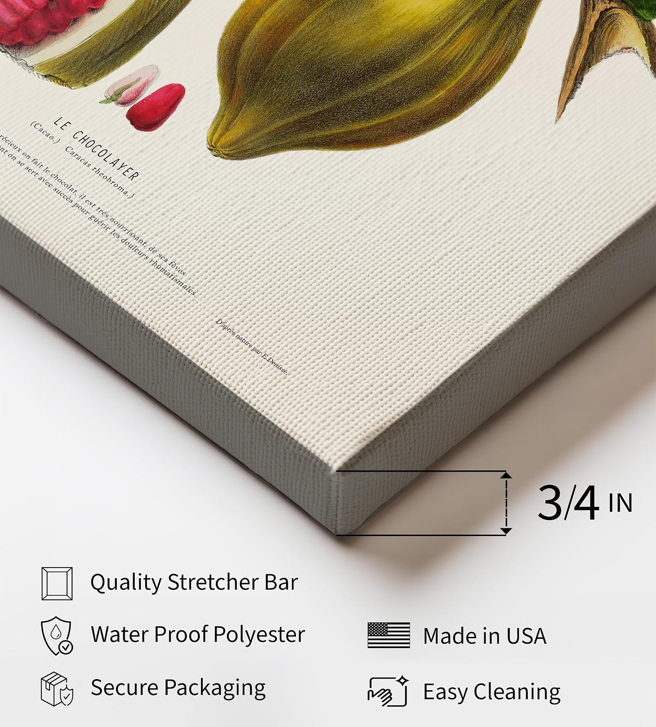 Poster Master Cocoa Bean Canvas - Botanical Canvas - Chocolate Art - Chic Wall Design - Floral Aesthetic Art - Great Kitchen or Dining Room Decor - 8x10 STRETCHED Canvas