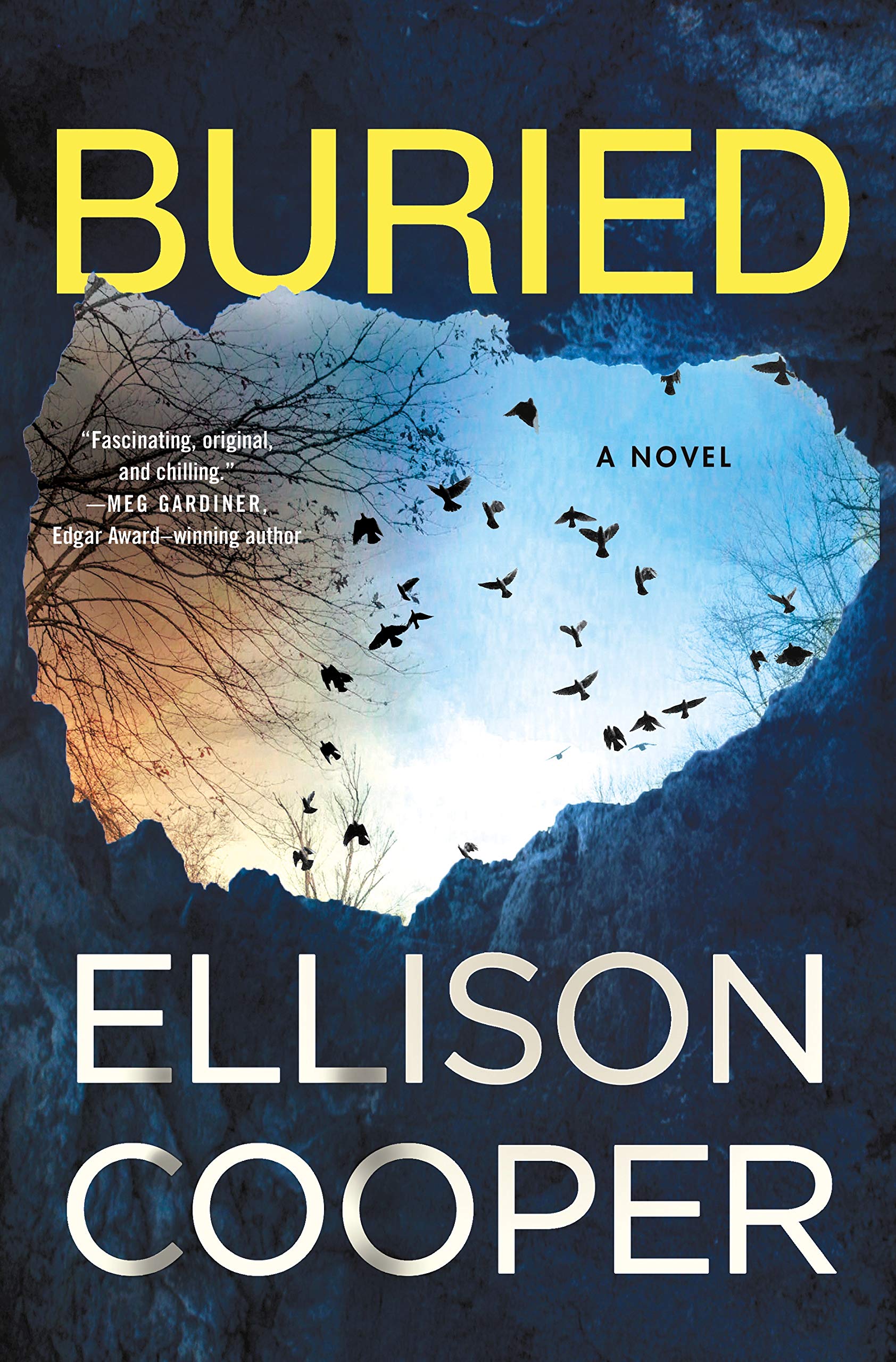Buried: A Novel (Agent Sayer Altair, 2)