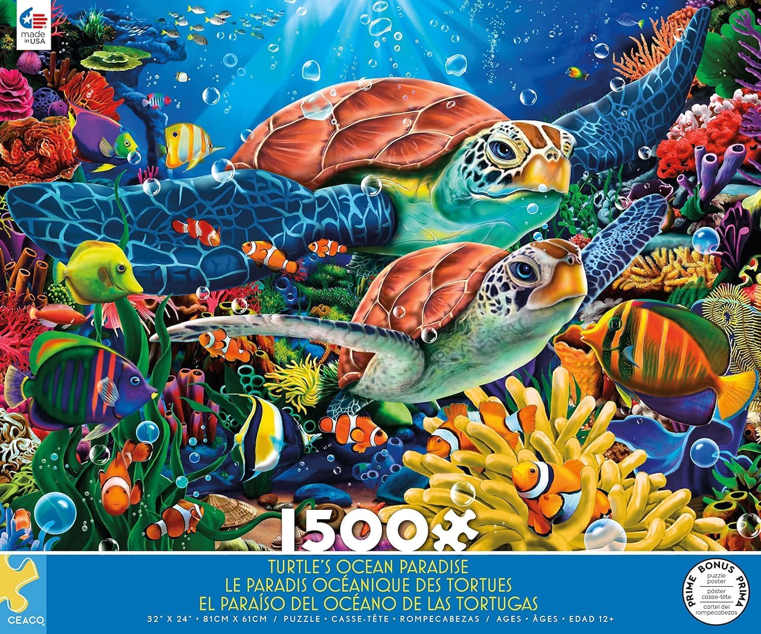 Turtles Ocean
