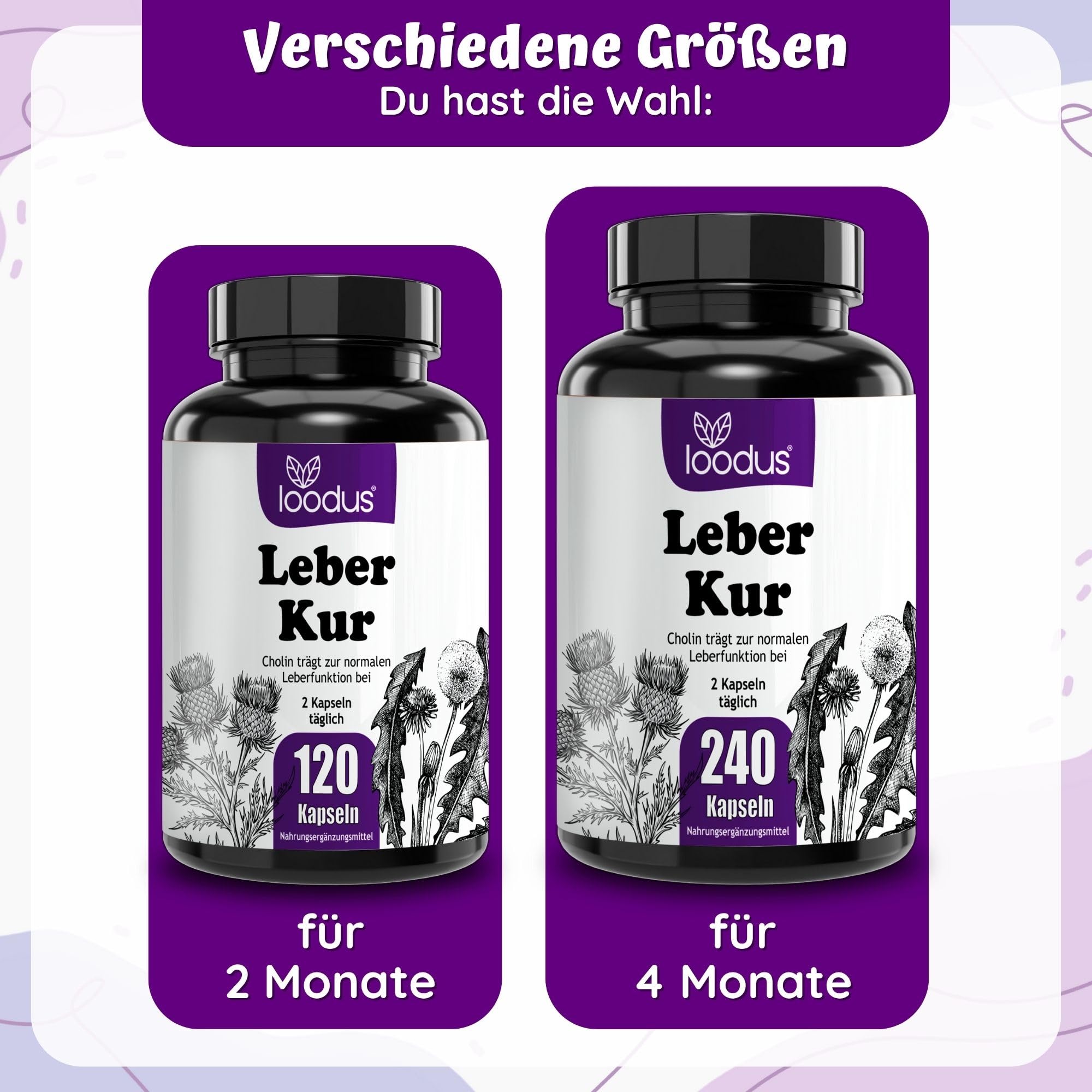 Leber-Kur Kapseln - Leber-Komplex Mariendistel Artischocke Löwenzahn Cholin