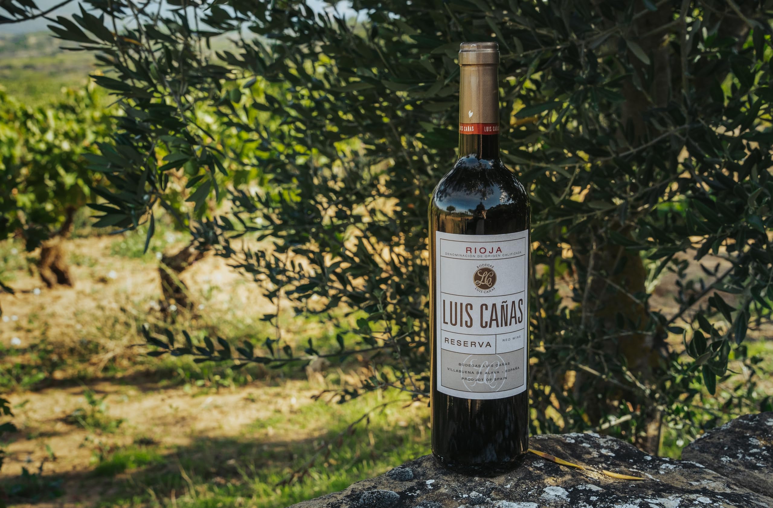 Luis Cañas - Vino Tinto con D.O. Rioja - Reserva - Variedad Tempranillo y Graciano - Notas de Fruta Negra - Reposo en Barricas de Roble Francés y Americano - Estuche Cartón - 3 Botellas de 75 cl