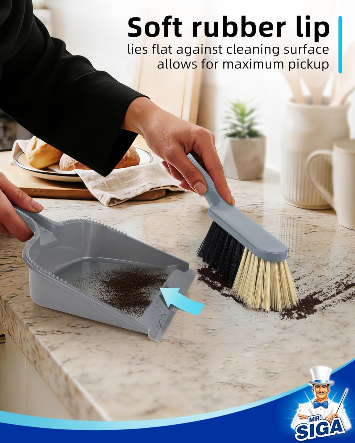 MR.SIGA Dustpan and Brush Set, Pack of 2 Set, Blue & Grey