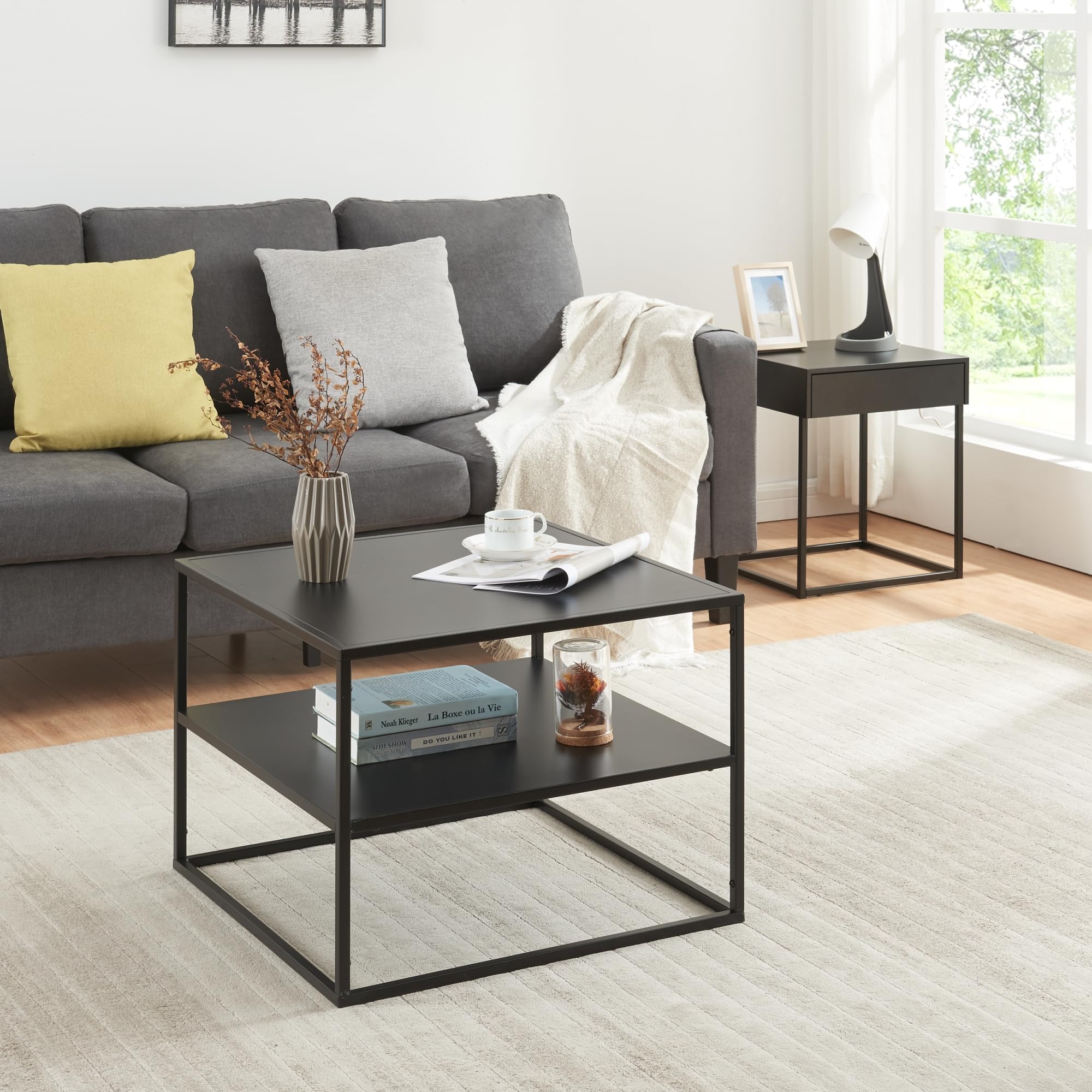 [en.casa] Mesa de Centro Solund Cuadrada con 1 Estante Diseño Industrial Mesa Baja para Salón Sala de Espera Oficina Limpieza Fácil Acero 60 x 60 x 45cm - Negro Mate