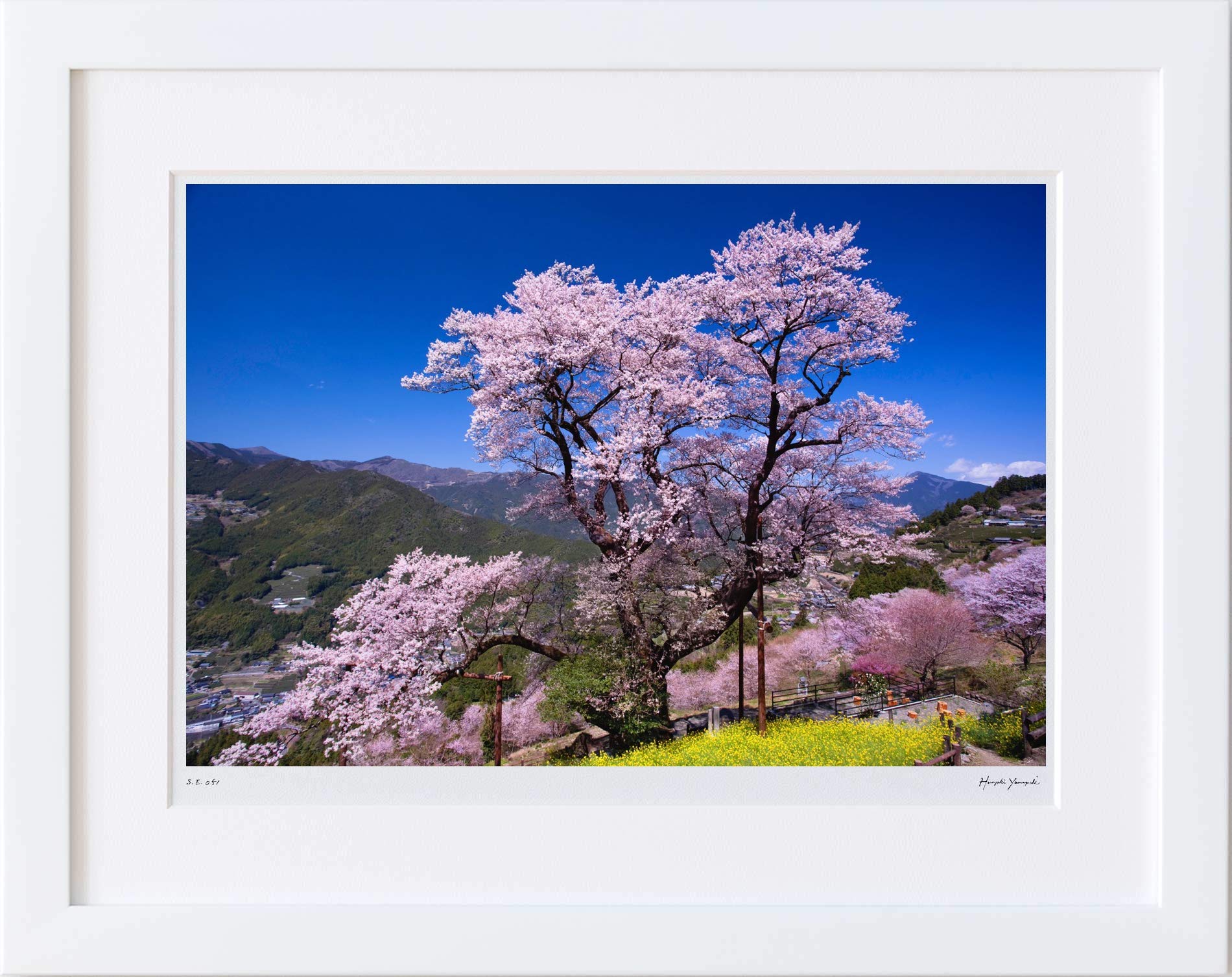 Amazon.co.jp: 写真家 山口博之 オリジナルプリント 額入り