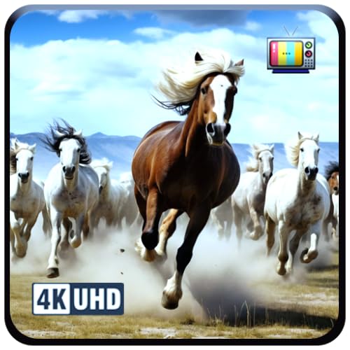 Wild Horse Serenity – Majestic Horses Roaming Free with Ambient Music for a Calming UHD For Fire TV Screensaver