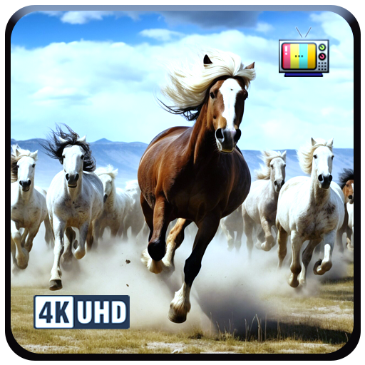 Wild Horse Serenity: Majestätische Pferde in freier Natur mit Hintergrundmusik für einen beruhigenden UHD-Bildschirmschoner für Fire TV