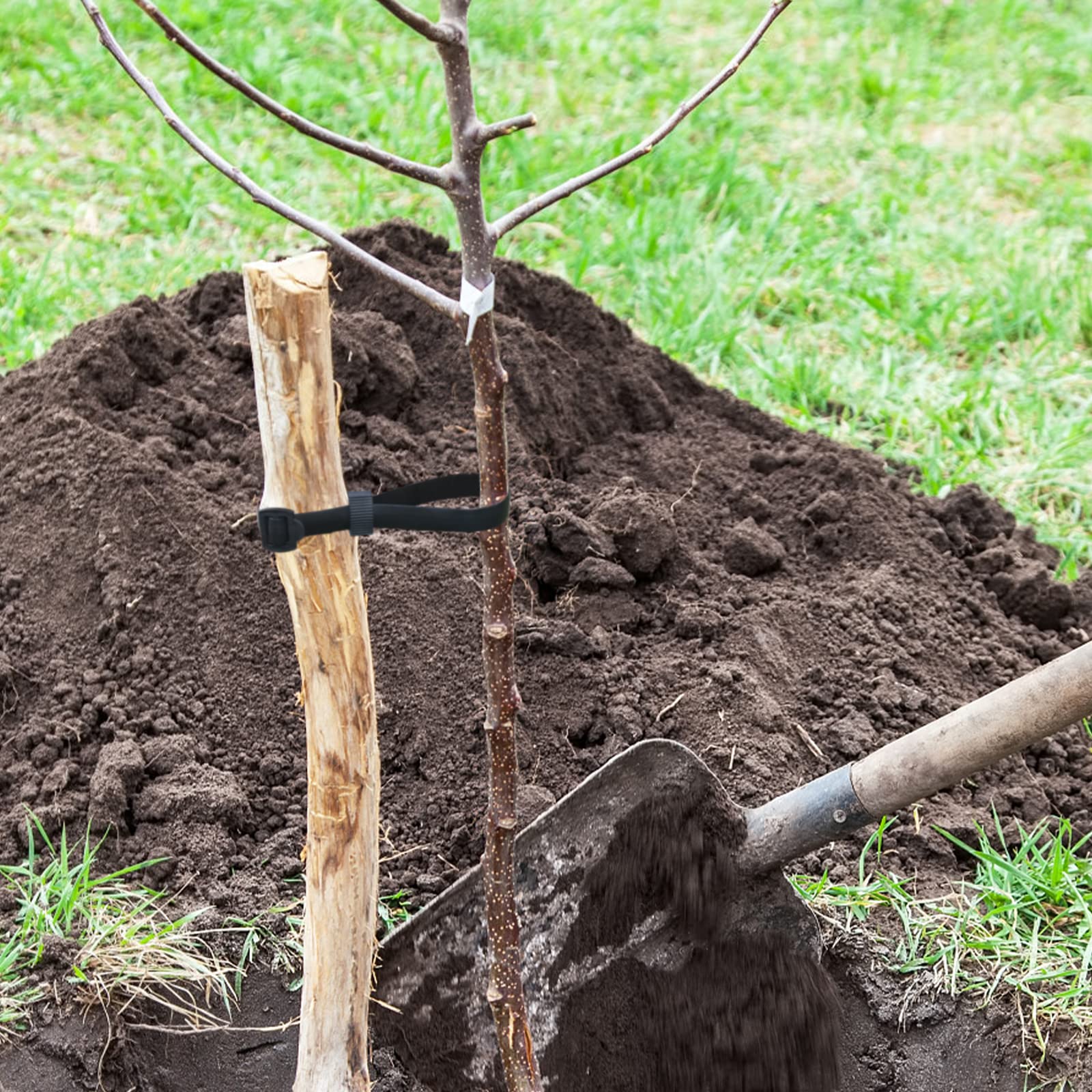 KINGLAKE 4 Pièces 60 cm Attache pour Arbre Fruitier, Attaches Tuteur Arbre Résistantes et Réglables, Lien pour Attacher avec Boucle pour la Prise en Charge Arbustes