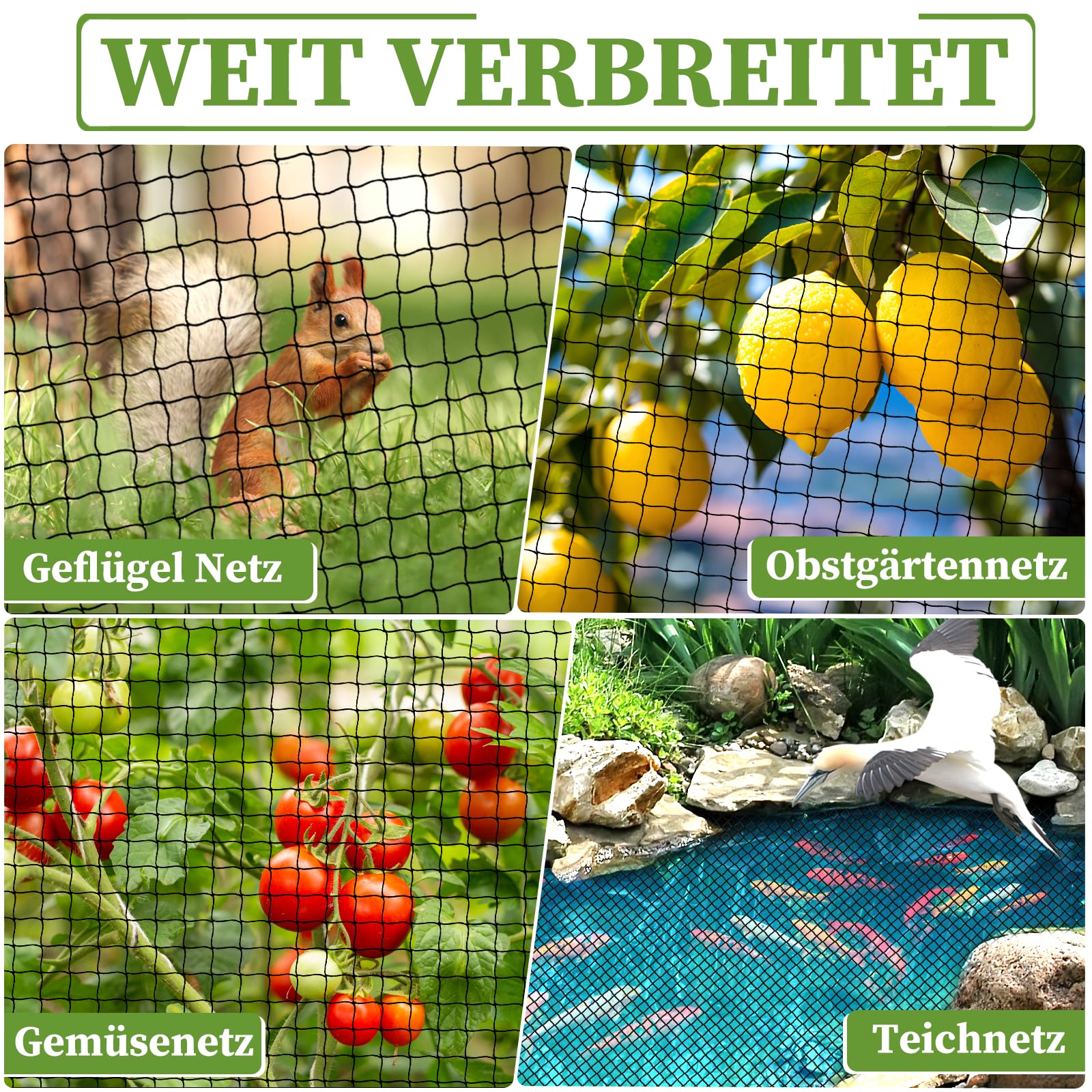 Filet Anti Oiseaux 7.5x7.5m Mailles 2.5cm - Protection Jardin Arbres Fruitiers Poules