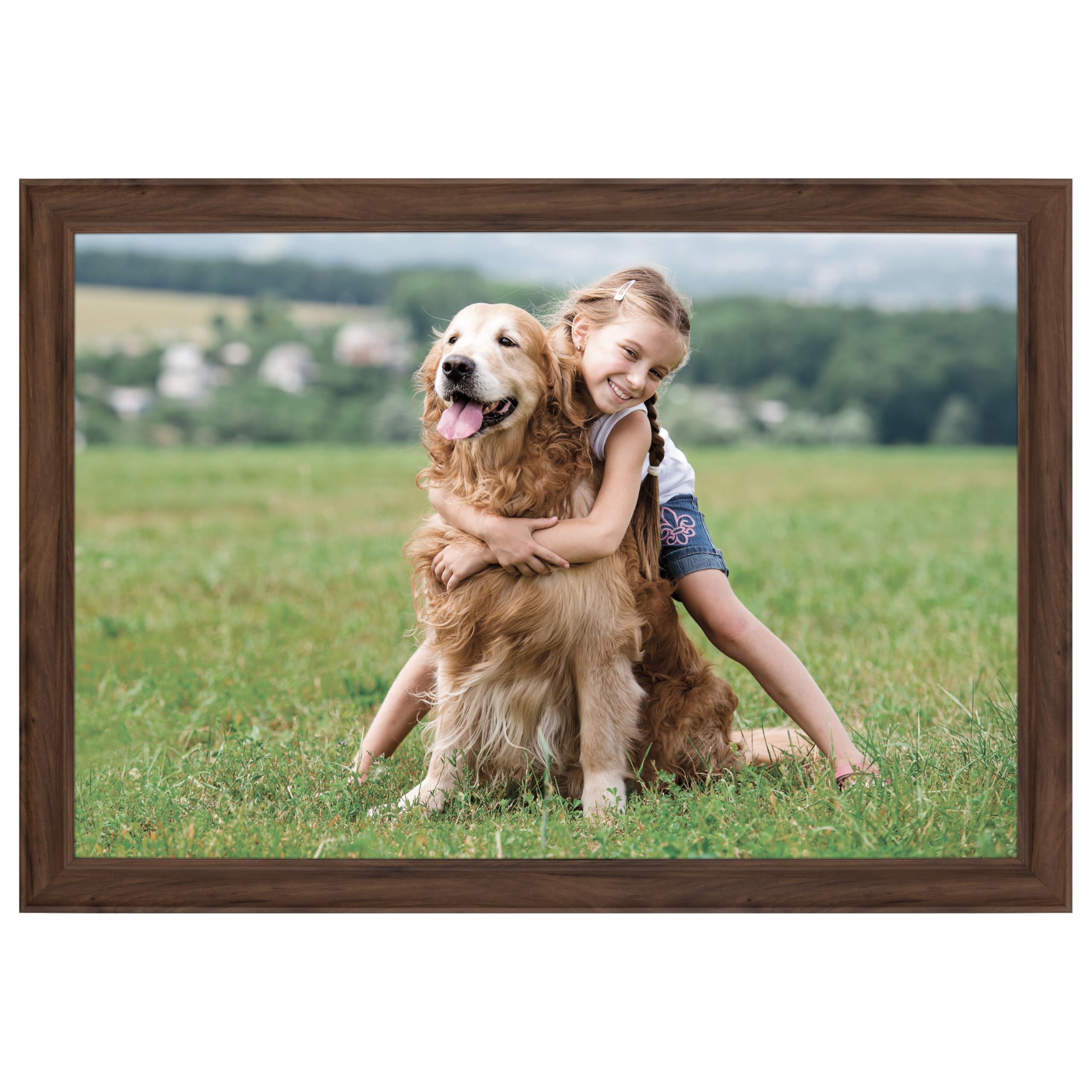 Amazon.co.jp: Gallery Solutions 20x30 大型壁掛け写真ポスター