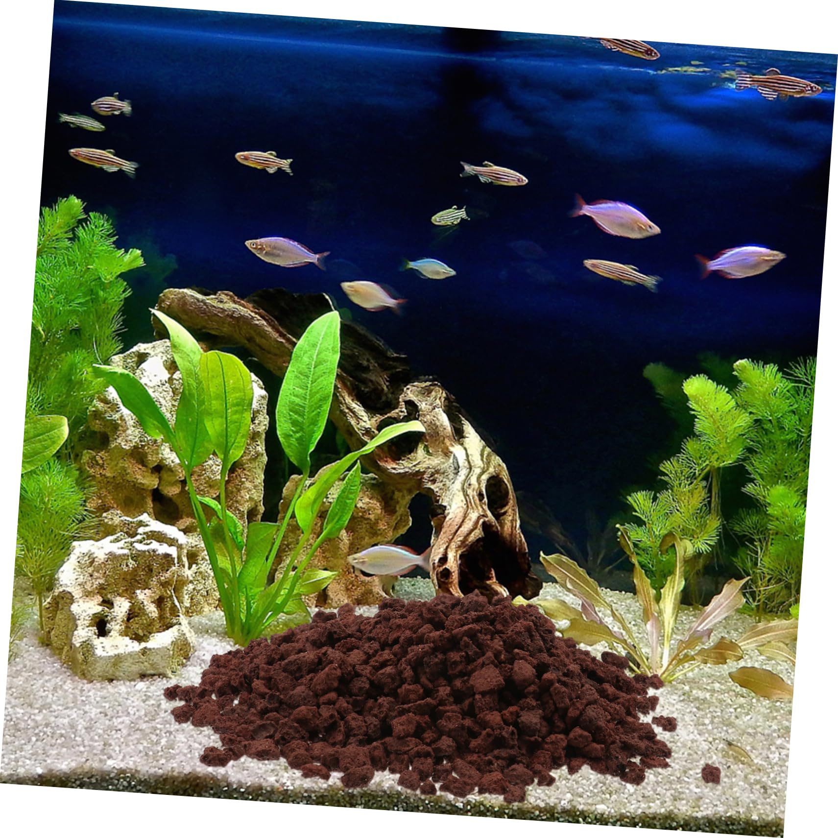 BESPORTBLE Piedra Volcánica 500 g Material Filtrante para Acuario Piedra para Pecera
