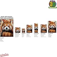 Vista 2 de Tarjeta de felicitación - Baby Red Panda de Deluxebase Colorido Panda Lenticular Tarjeta 3D para cualquier ocasión y edad. Obra original