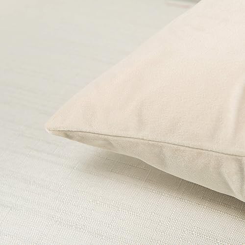 Miniatura 4 de Elegant Comfort Juego de 2 fundas de cojín cuadradas decorativas de terciopelo suave y liso, para sofá, dormitorio, automóvil, 20 x 20 pulgadas,