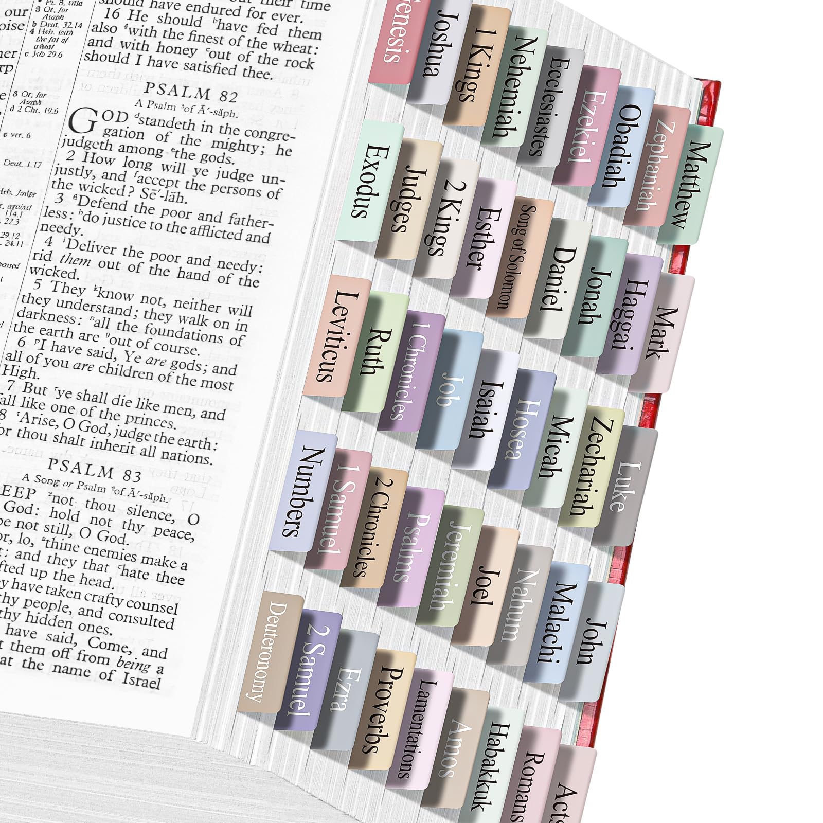75 Laminated Large Print Bible Tabs - Women & Men, Cute Index Tabs for Easy Bible Study & Accessories (Colorful)
