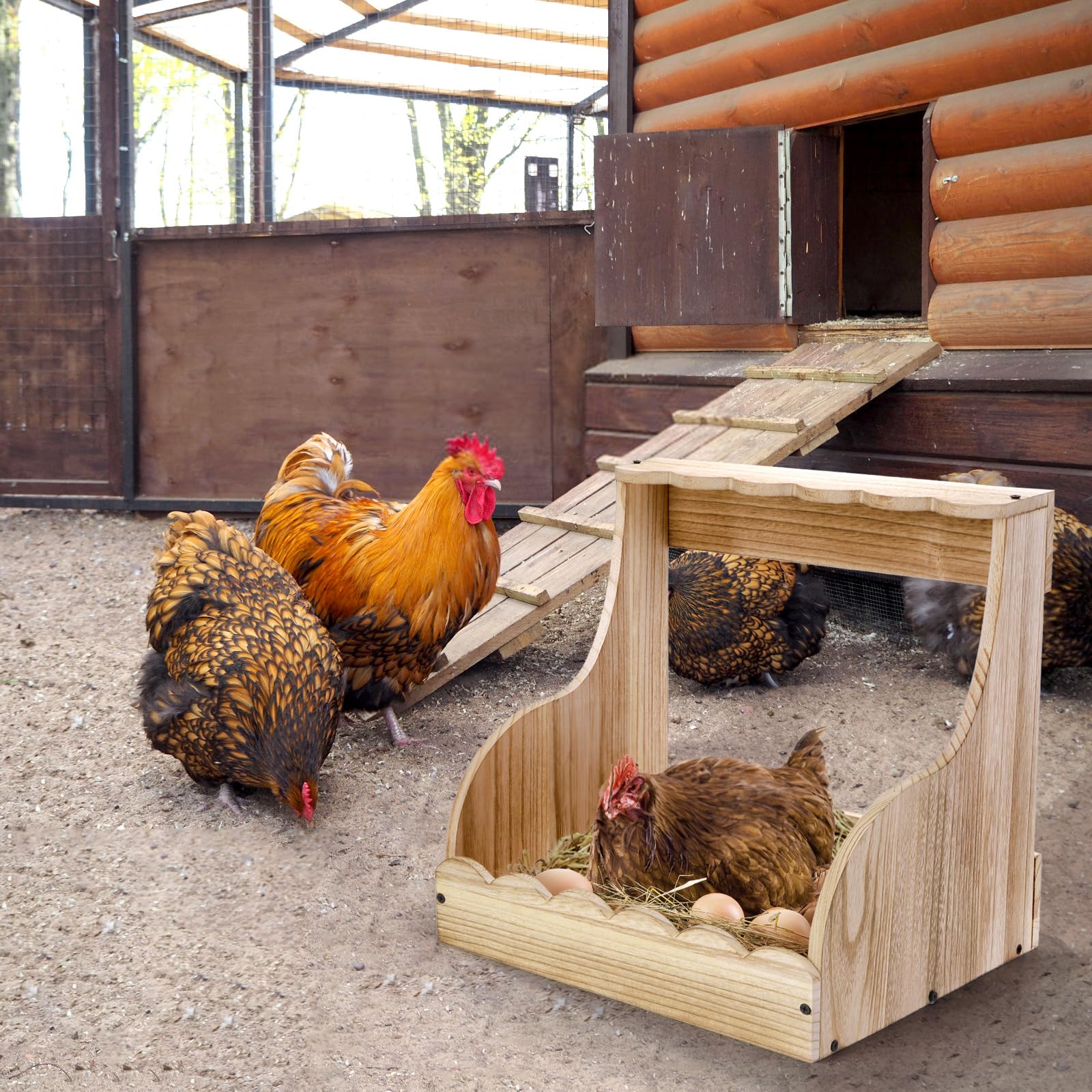 Tlence Caja de anidación de pollo de un solo compartimento, 14.5 x 13.75 x 13.75 x 13 pulgadas, caja de huevos de madera para gallinas ponedoras de huevos, accesorios grandes y resistentes para aves
