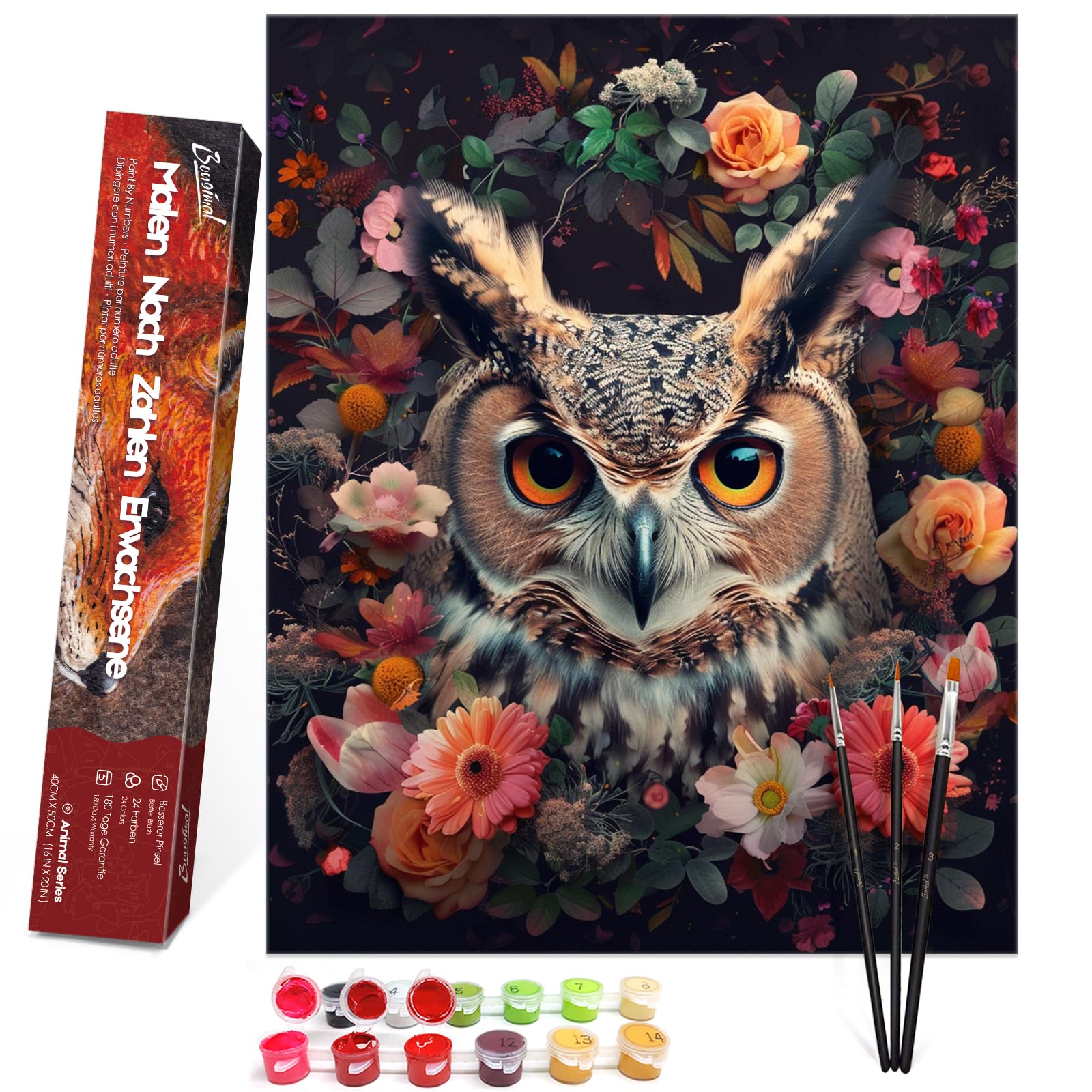 Bougimal Malen Nach Zahlen Erwachsene Tiere Ohen Rahmen inklusive Pinsel und Acrylfarben - 40 x 50 cm, Eulen und Blumen