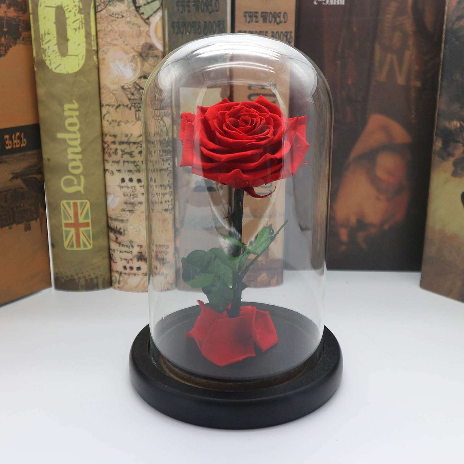 Premium Preserved Real Rose with Deluxe Package- Beauty and The Beast Rose, Gift for her (Blue)