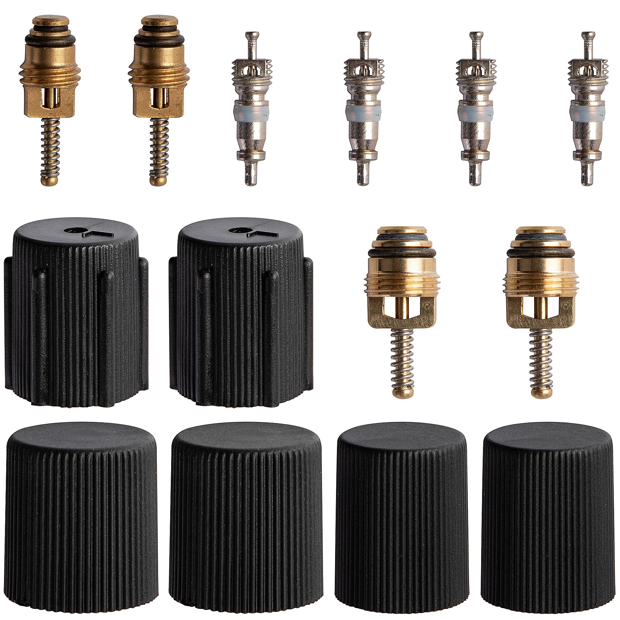 moonoom Car Air Conditioning Valve Core Kit-Universal A/C System Repair Valve Caps & Core for Automotive Replacement Air Conditioning Compressor Seals-2 Large Cores,2 Small Cores,4 R12 Cores,6 Covers