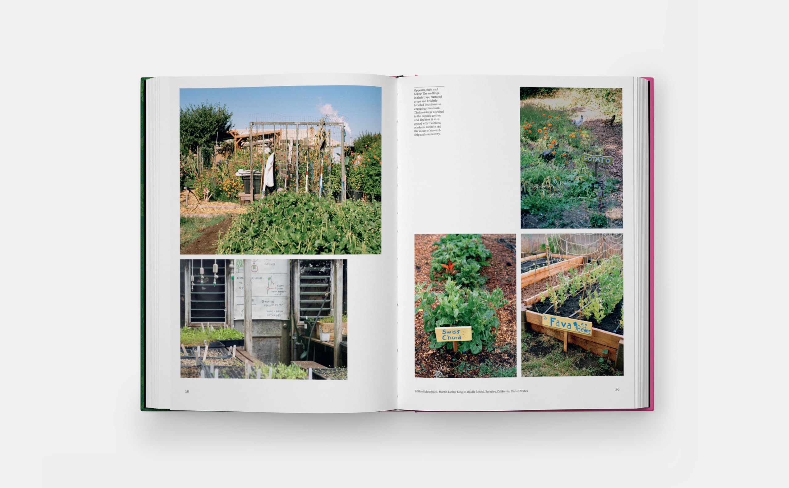 The kitchen garden