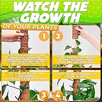 Vista 5 de Dimrom Paquete de 2 postes de musgo para monstera, 20 pulgadas, 12 pulgadas, con lazos de jardín de 67 pulgadas, postes para plantas trepadoras