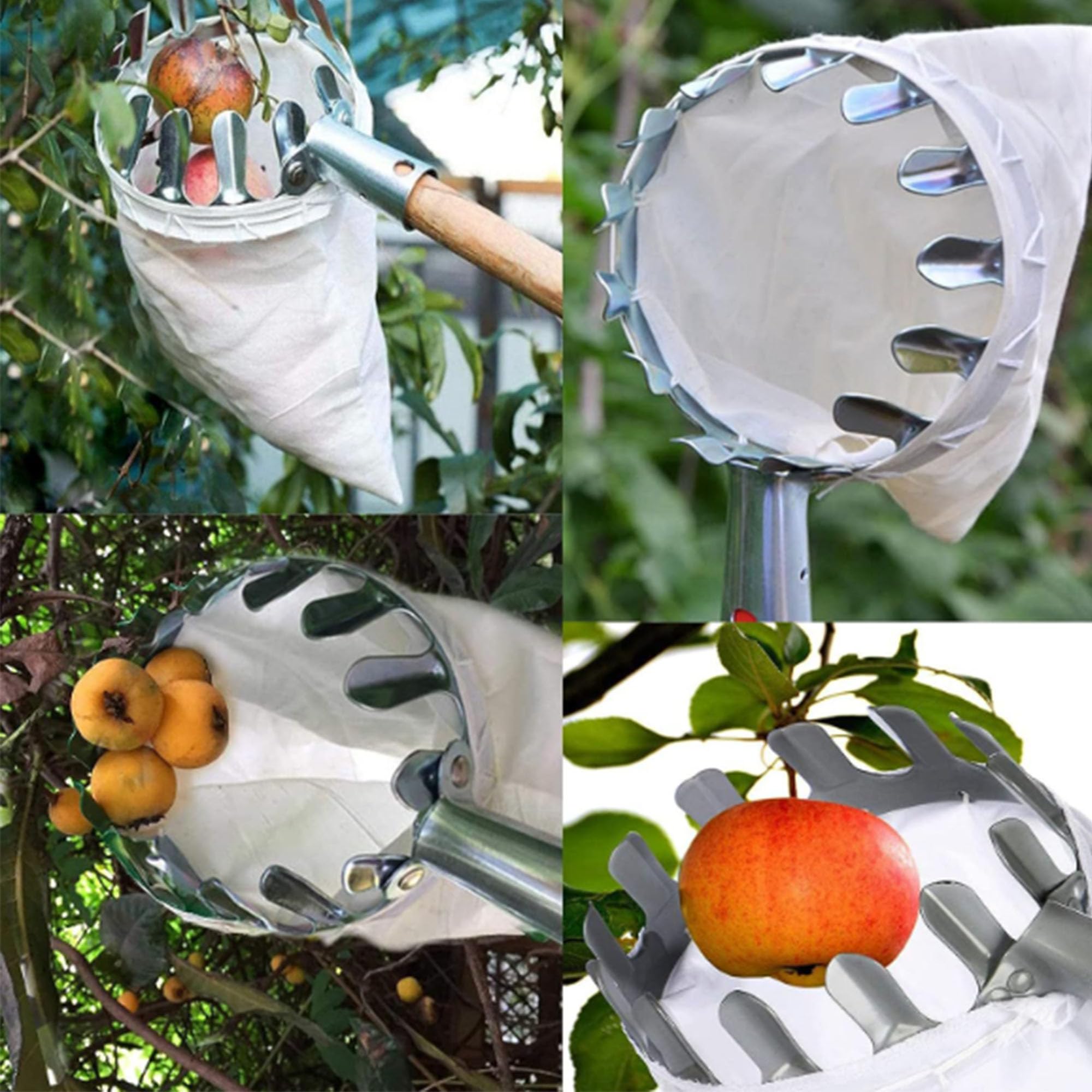 Raccoglitrice con Palo, Raccoglitore di Frutta Bastone, Raccogli Frutta, Raccogli Frutta Telescopico, Raccoglitore di Frutta Ad Alta Quota, Salvaspazio, Strumenti Pratici del Frutteto