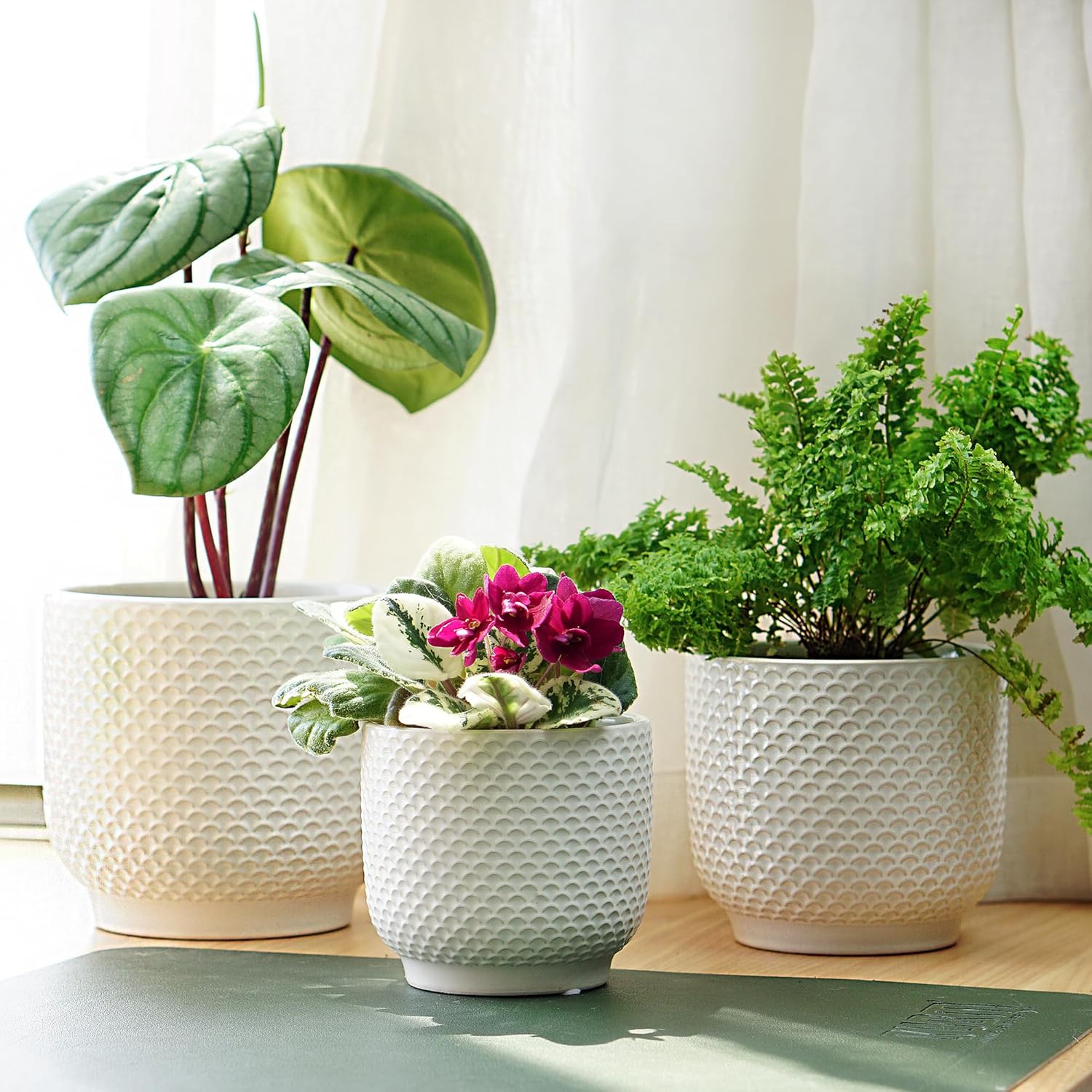 Best Home & Kitchen - 4 + 5 + 6 Inch Ceramic Pots for Indoor Plants Review