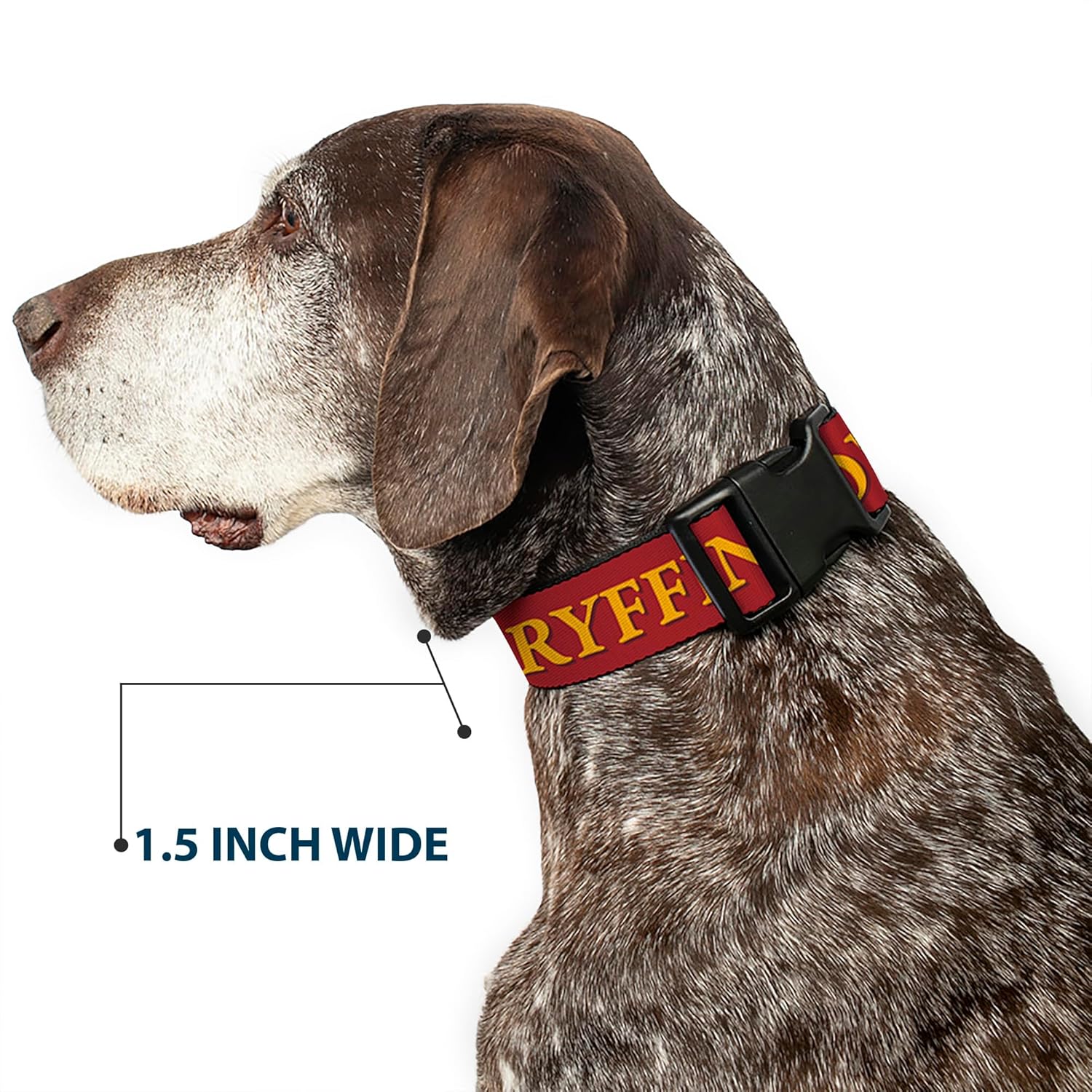 Dog Collar Plastic Clip Harry Potter Gryffindor Crest Black Red 13 to 17 Inches 1.5 Inch Wide
