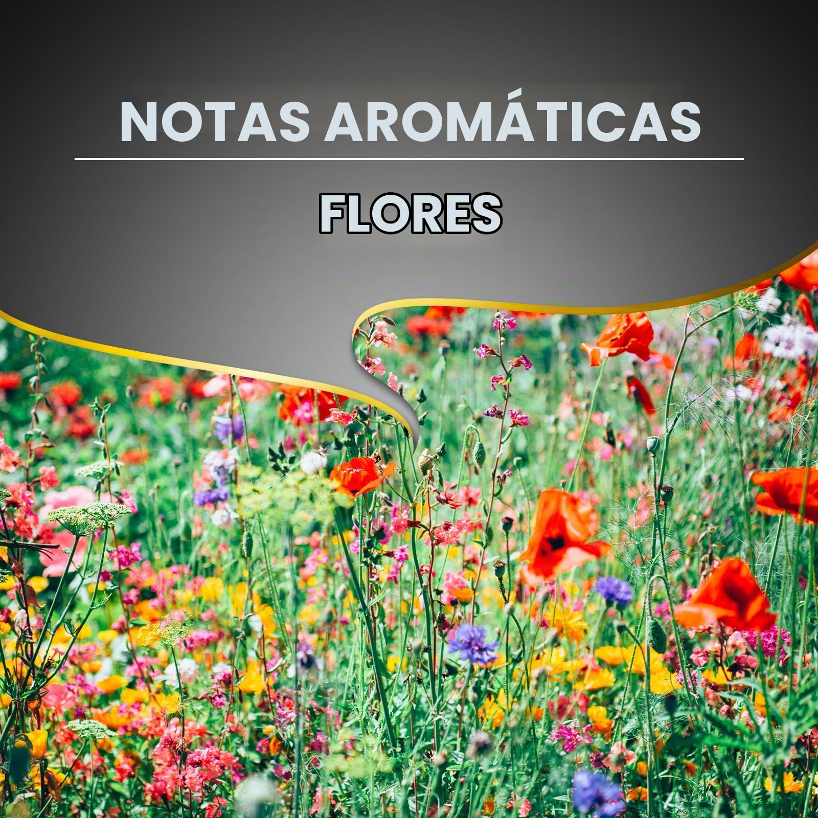 Lavazza, Espresso Barista Perfetto, Café en Grano Natural, Ideal para Máquina de Café Espresso o Superautomática, con Notas Aromáticas Florales, 100% Arábica, Intensidad 6/10, Tueste Medio, 1 kg