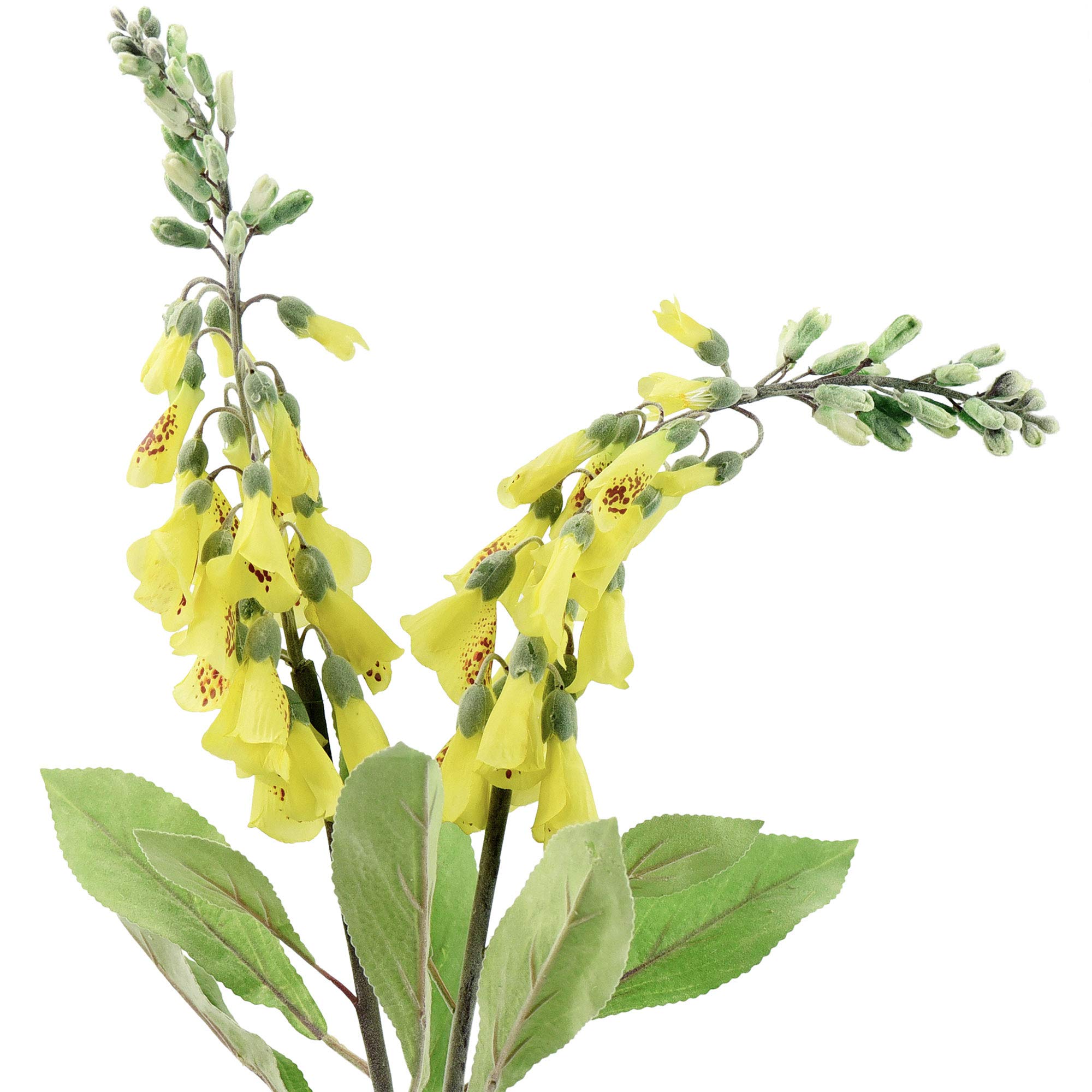 Fiveseasonstuff Youthful Yellow Artificial Flowers Foxglove Plants (Digitalis Purpurea) Silk Flowers Décor 74Cm Long (Youthful Yellow) 2 Stems