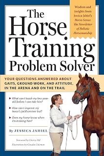 Horse Training Problem Solver Questions