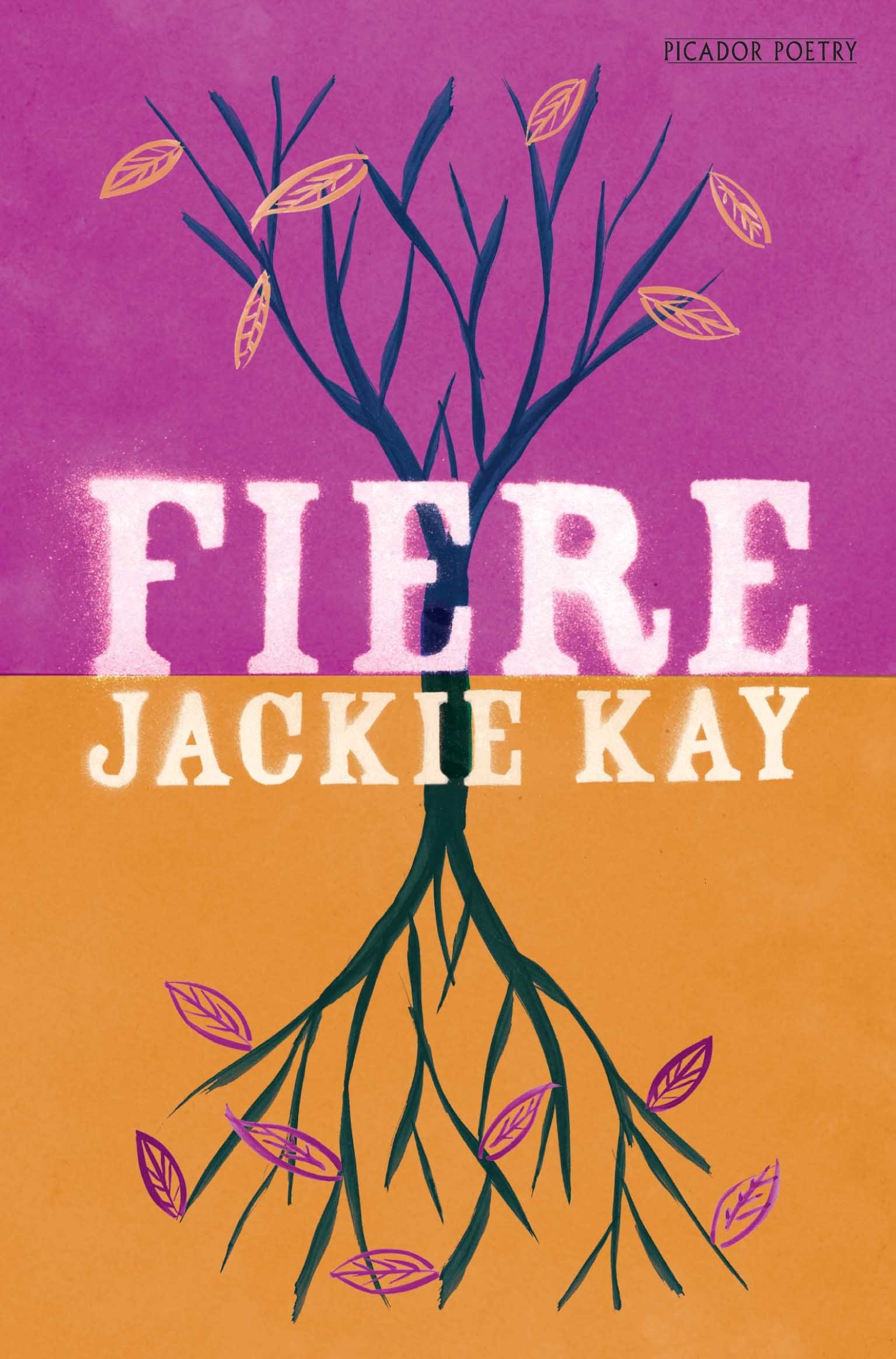 Fiere by Jackie Kay PAPERBACK 9780330513371