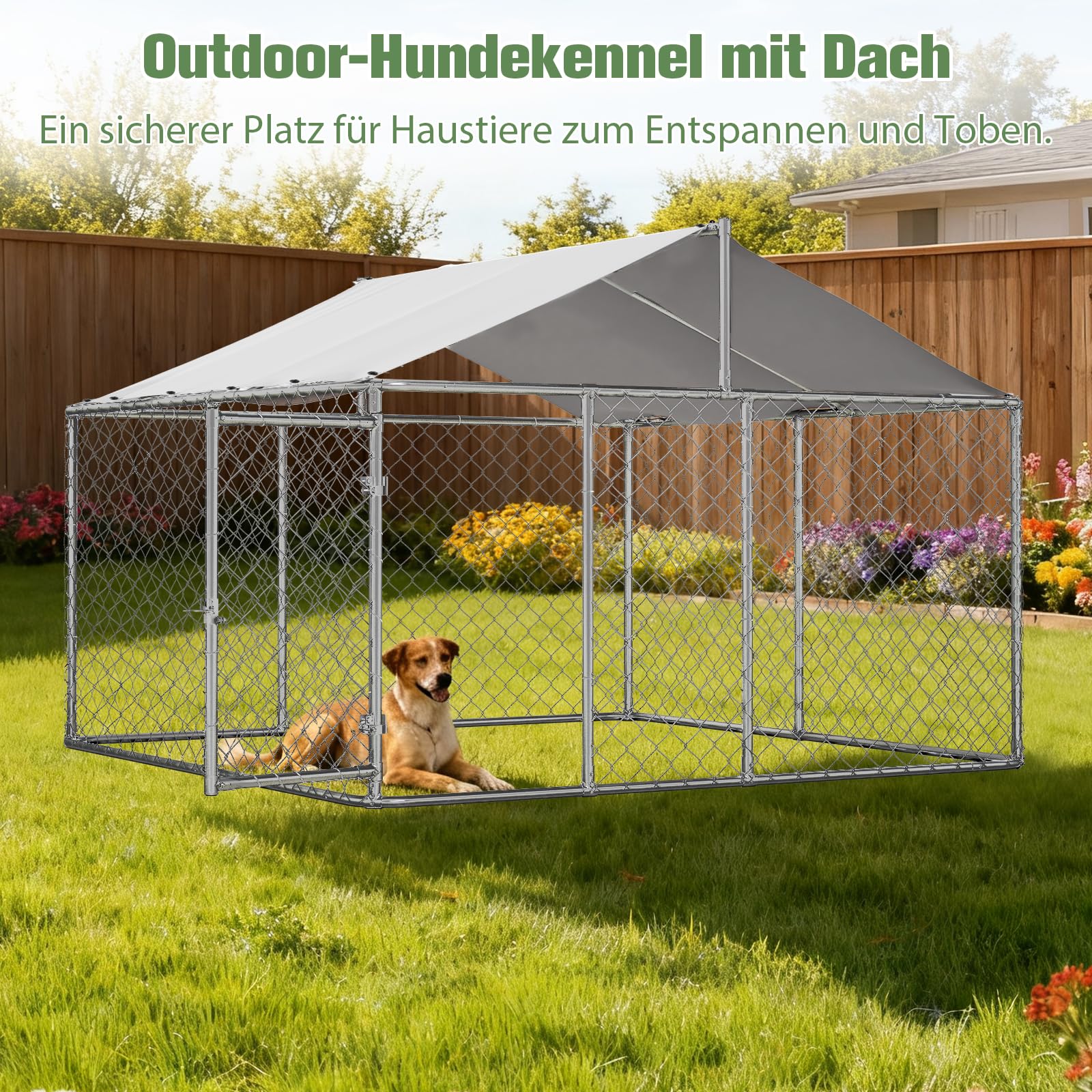 Outdoor Hundezwinger Mit Dach 230x230x117 cm Schwerlast Hundegehege Aus Verzinktem Stahlrohr Mit Verriegelbarer Sicherheitstür UV Beständiger Wasserdichter Abdeckplane Für Garten Terrasse Hof