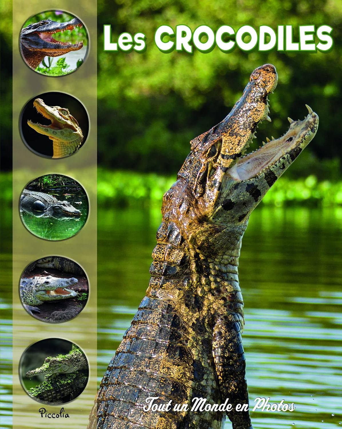 Amazon.fr Les crocodiles Collectif Livres