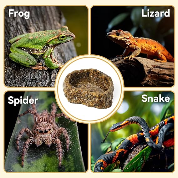 Reptile Water Dish Food Bowl, Resin Rock Bowls for Amphibians | Small Reptile Feeding Bowls for Bearded Dragon Lizard Frog Gecko Tortoise Hermit Crab Snail Spider Snake, Mini Terrarium Bowl