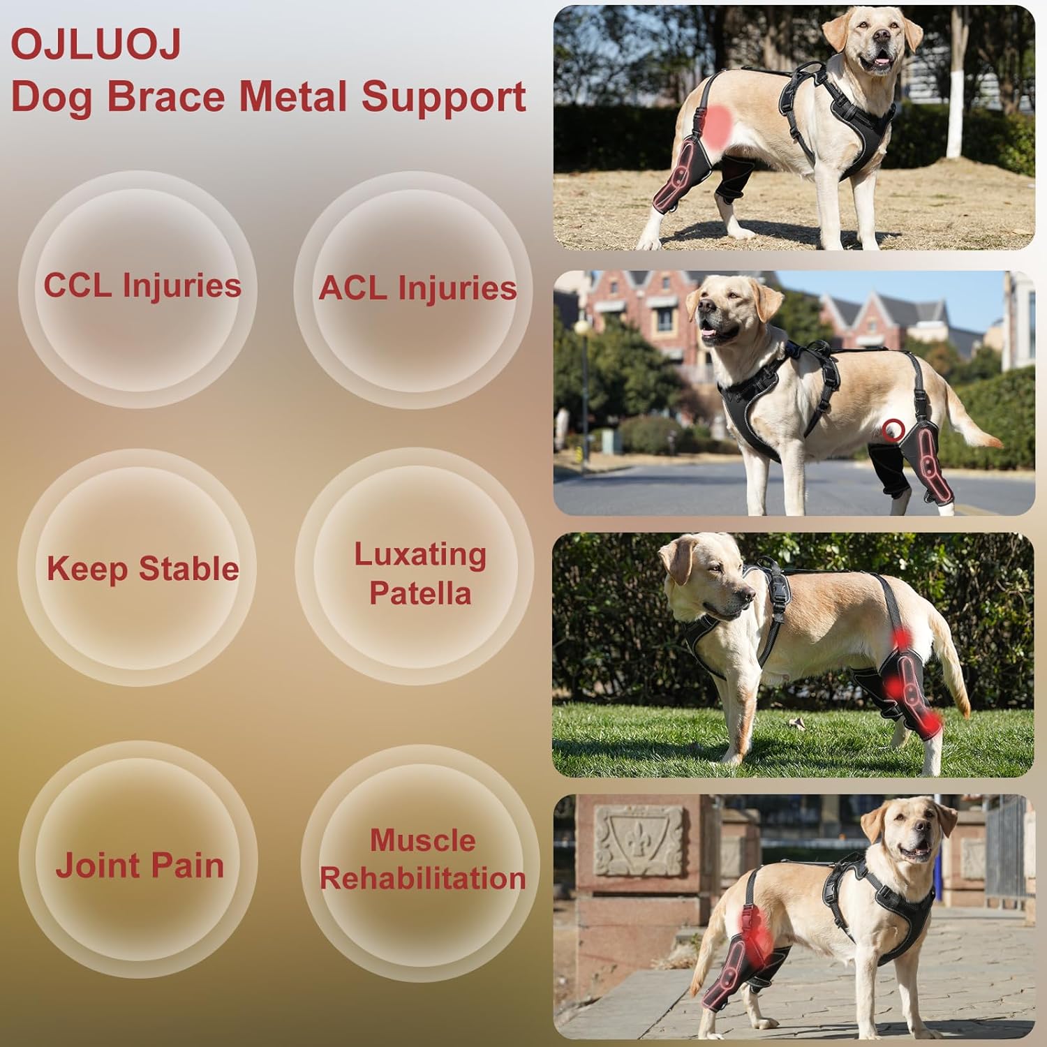 Dog Hip Knee Metal Hip Joint Brace Support Adjustable Length Harness with Front & Back Puppy L Sizes Dogs Pet 4 Limbs Wear Surgery Aid Recovery with Traction Rope