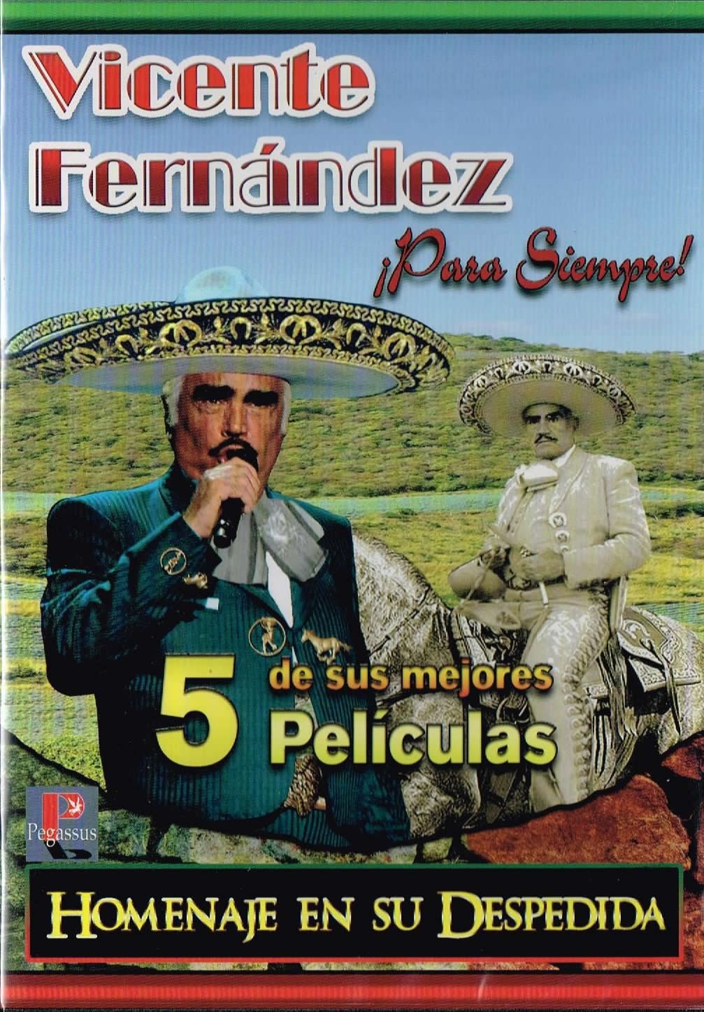 VICENTE FERNANDEZ 