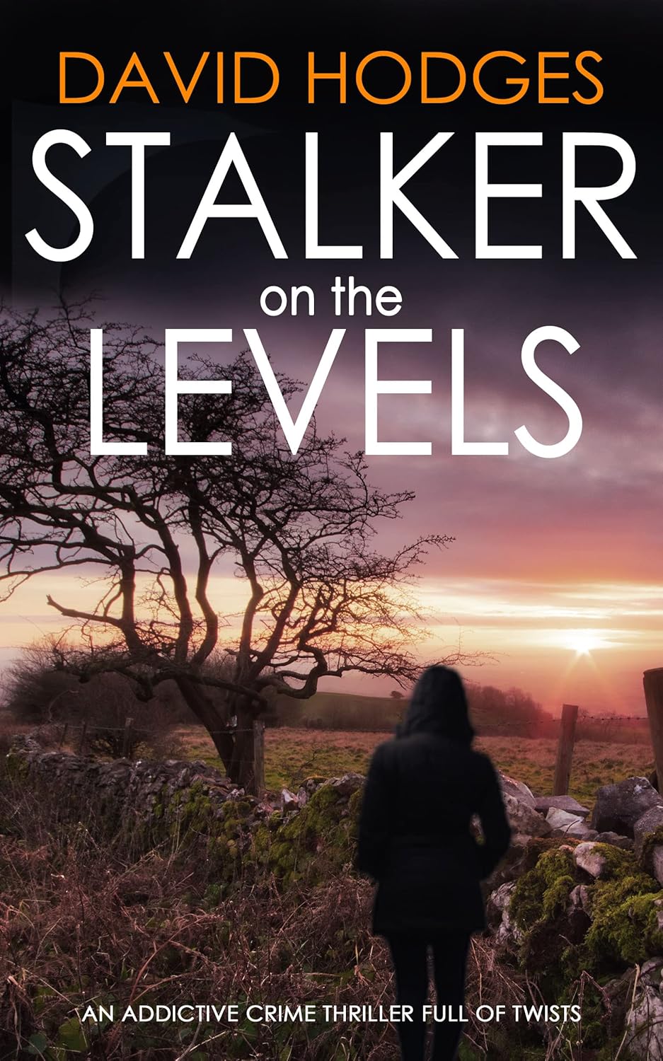 STALKER ON THE LEVELS an addictive crime thriller full of twists (Detective Kate Hamblin Mystery Book 9) STALKER ON THE LEVELS an addictive crime thriller full of twists (Detective Kate Hamblin Mystery Book 9)