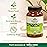 ORGANIC INDIA Moringa Capsules Organic - Moringa Leaf Supplement, Green Superfood Supplement, Pure Supergreen, Vegan Greens, Nature\'s Multivitamin, Vegan, Gluten-Free - 60 Capsules