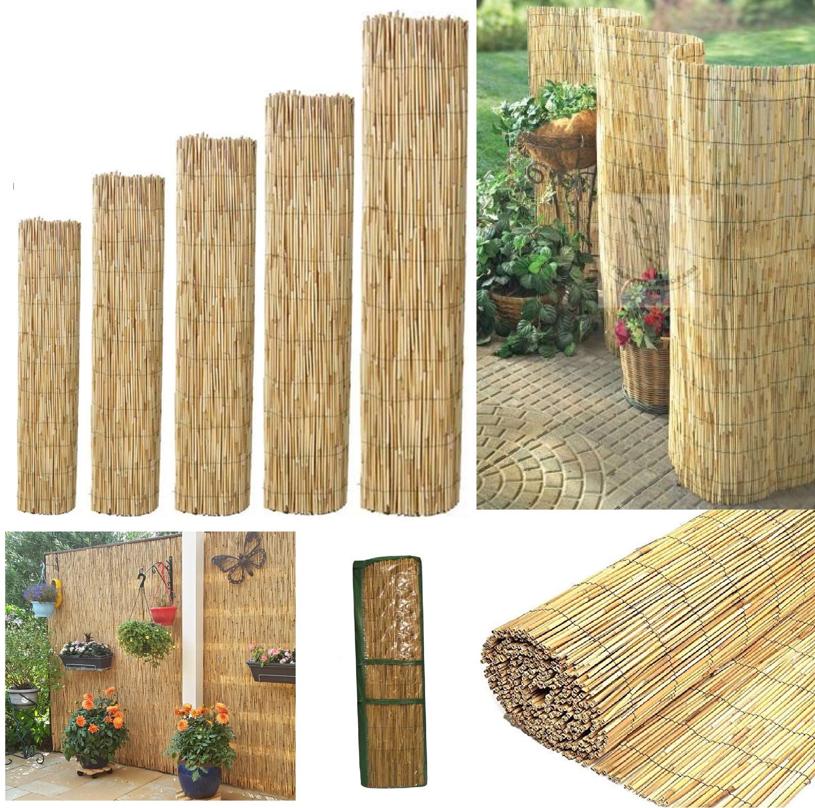 Bargains Hut Natural Peeled Reed Fence Garden Privacy Fence Wind Break Screening Wall 4m Roll (1, 1.5m x 4m (150x400cm))