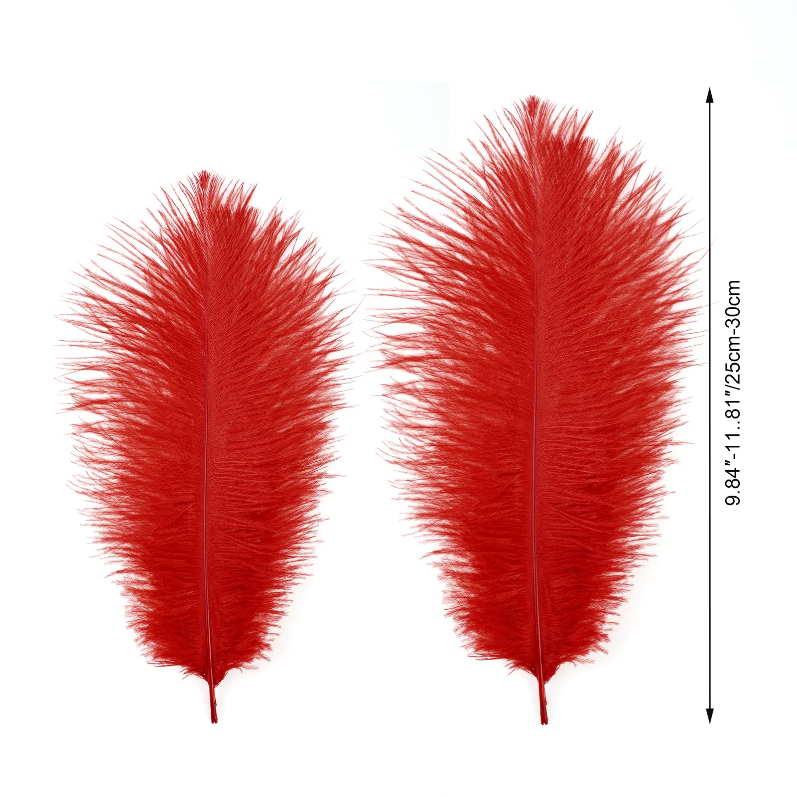 MWOOT 10pcs Natural Ostrich Feathers - Image 3